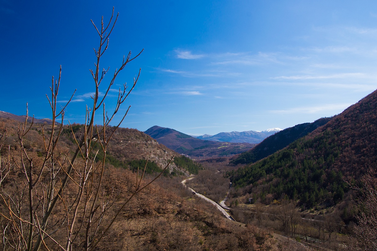 Look in the distance