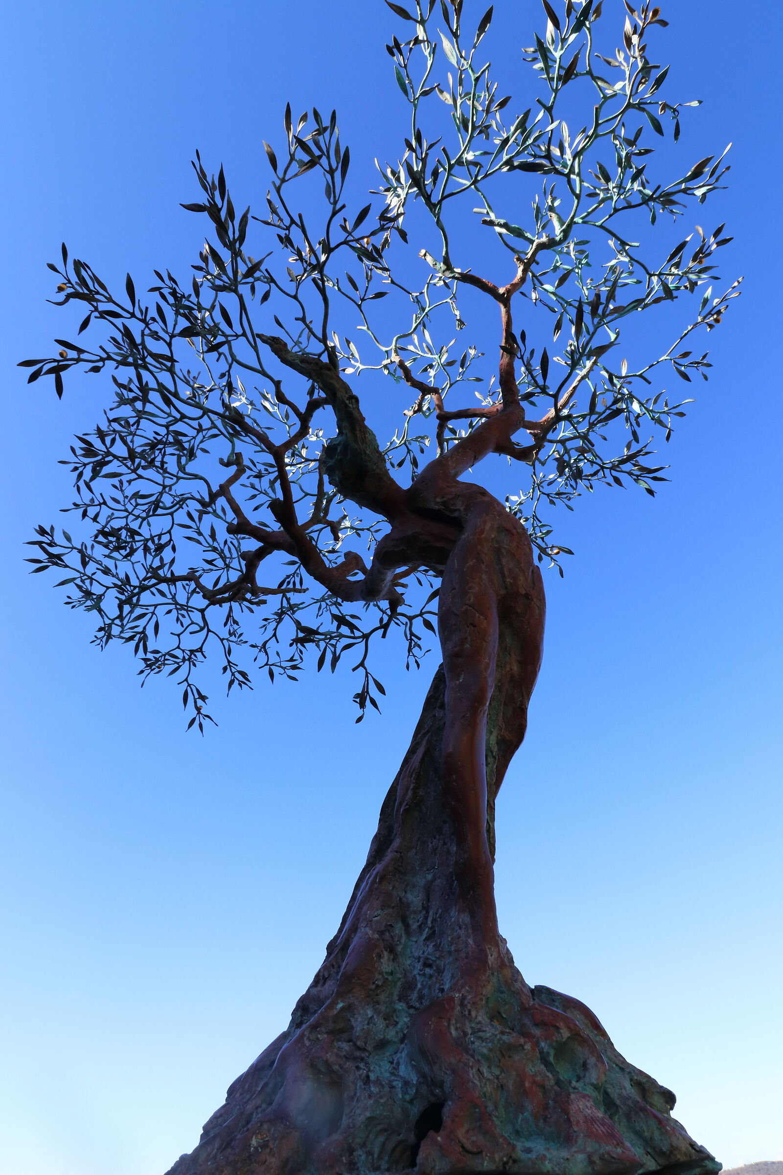 tree of life