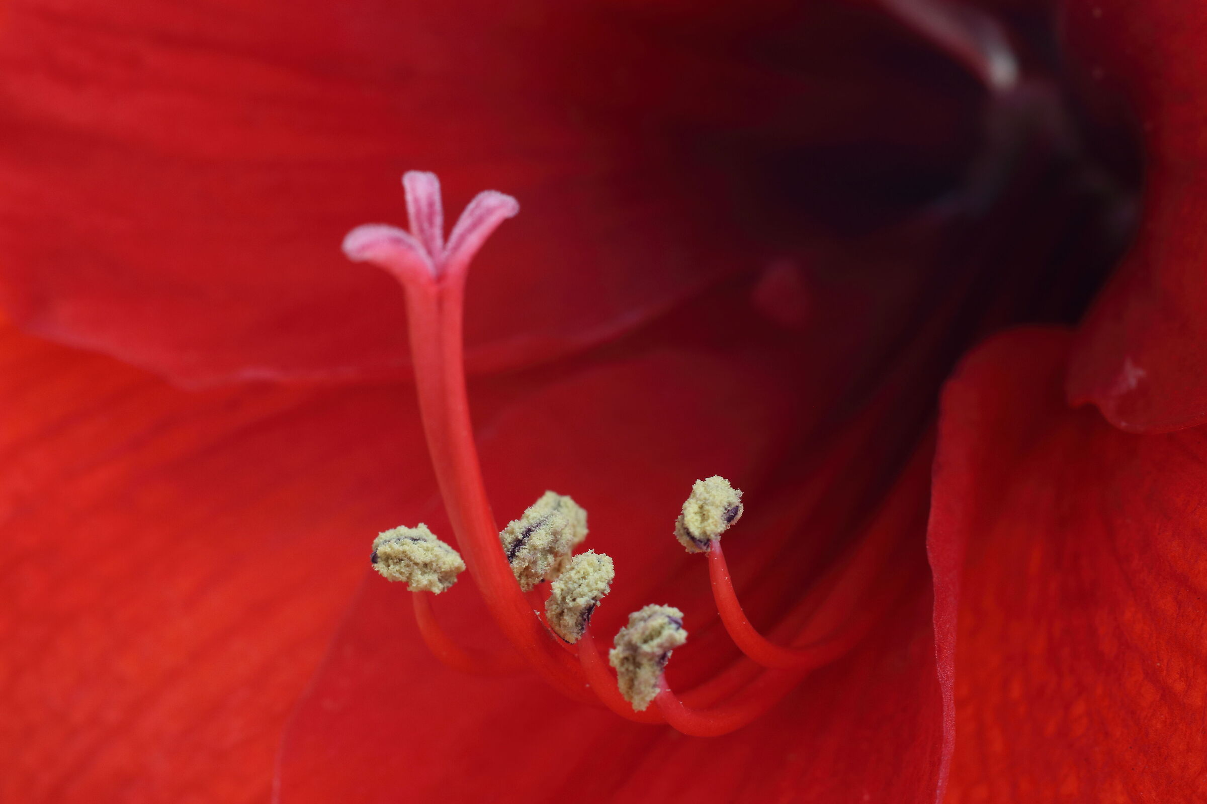 Untitled Photo