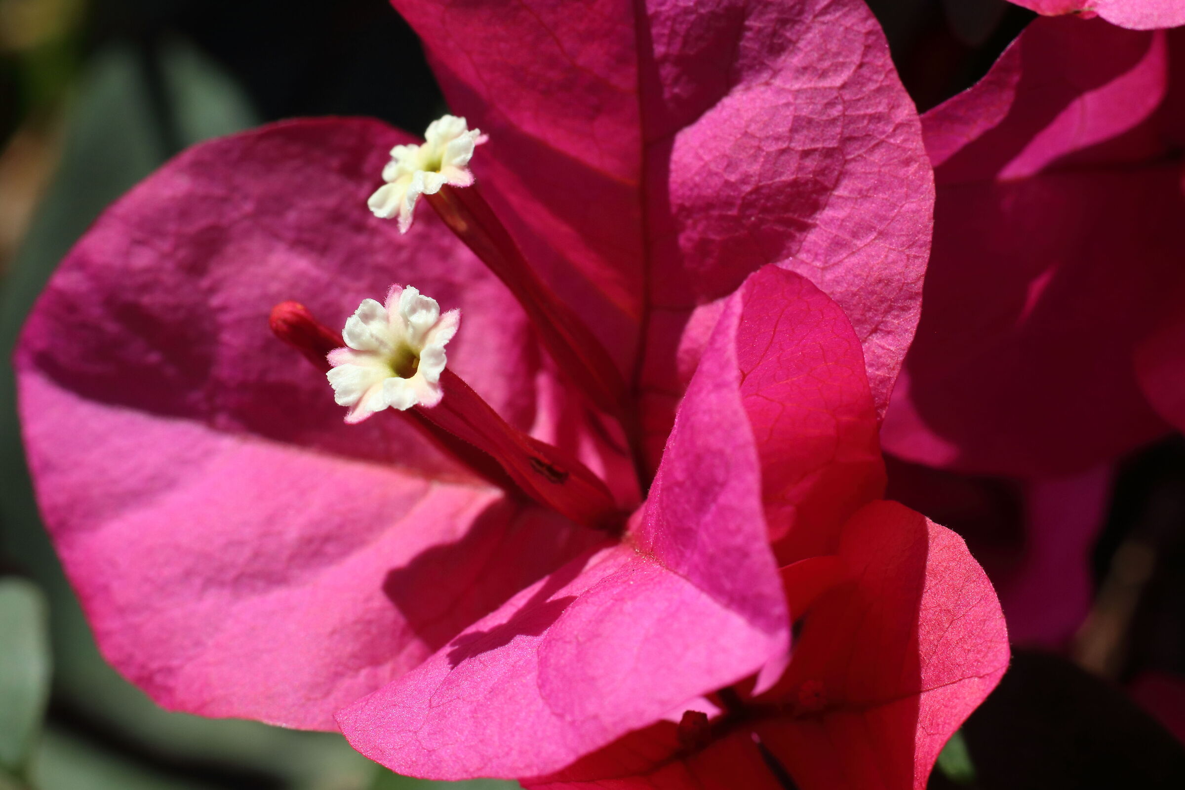 Untitled Photo