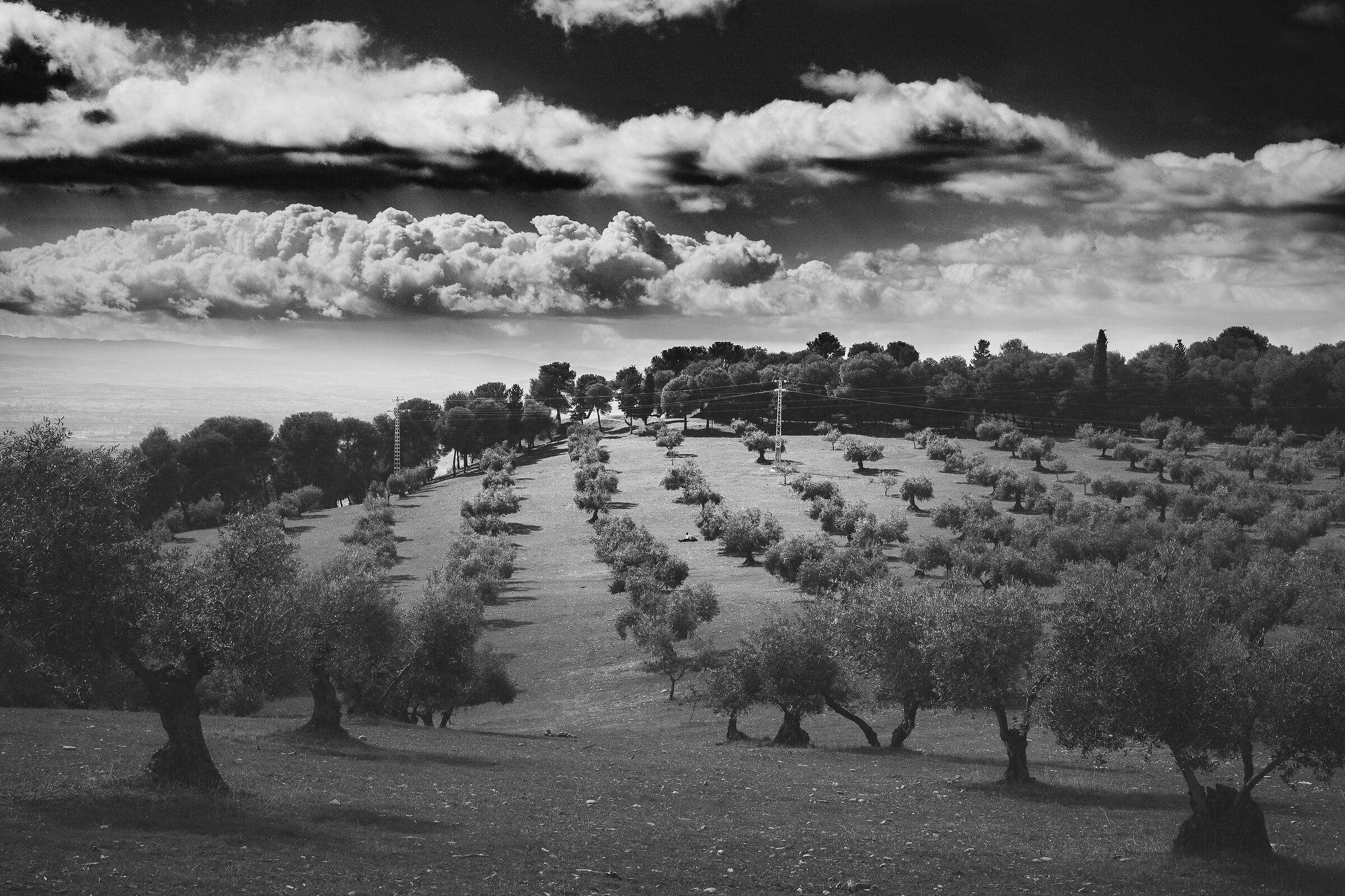 Silla del moro arrabbiata