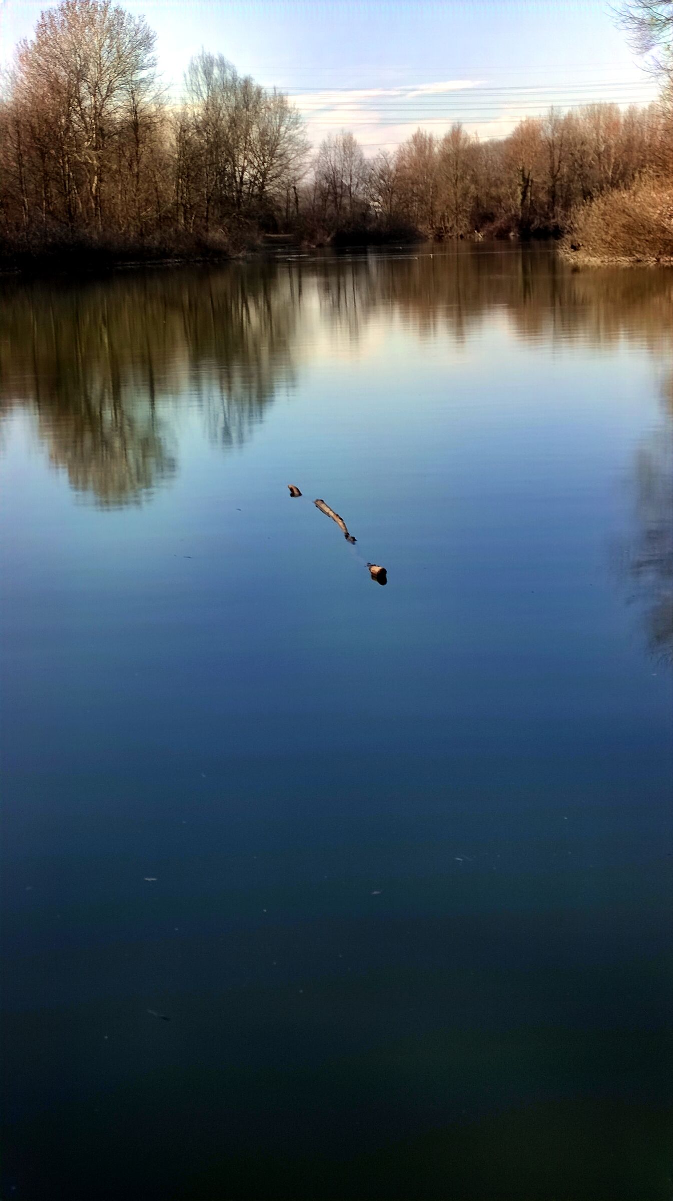 Sta arrivando la primavera