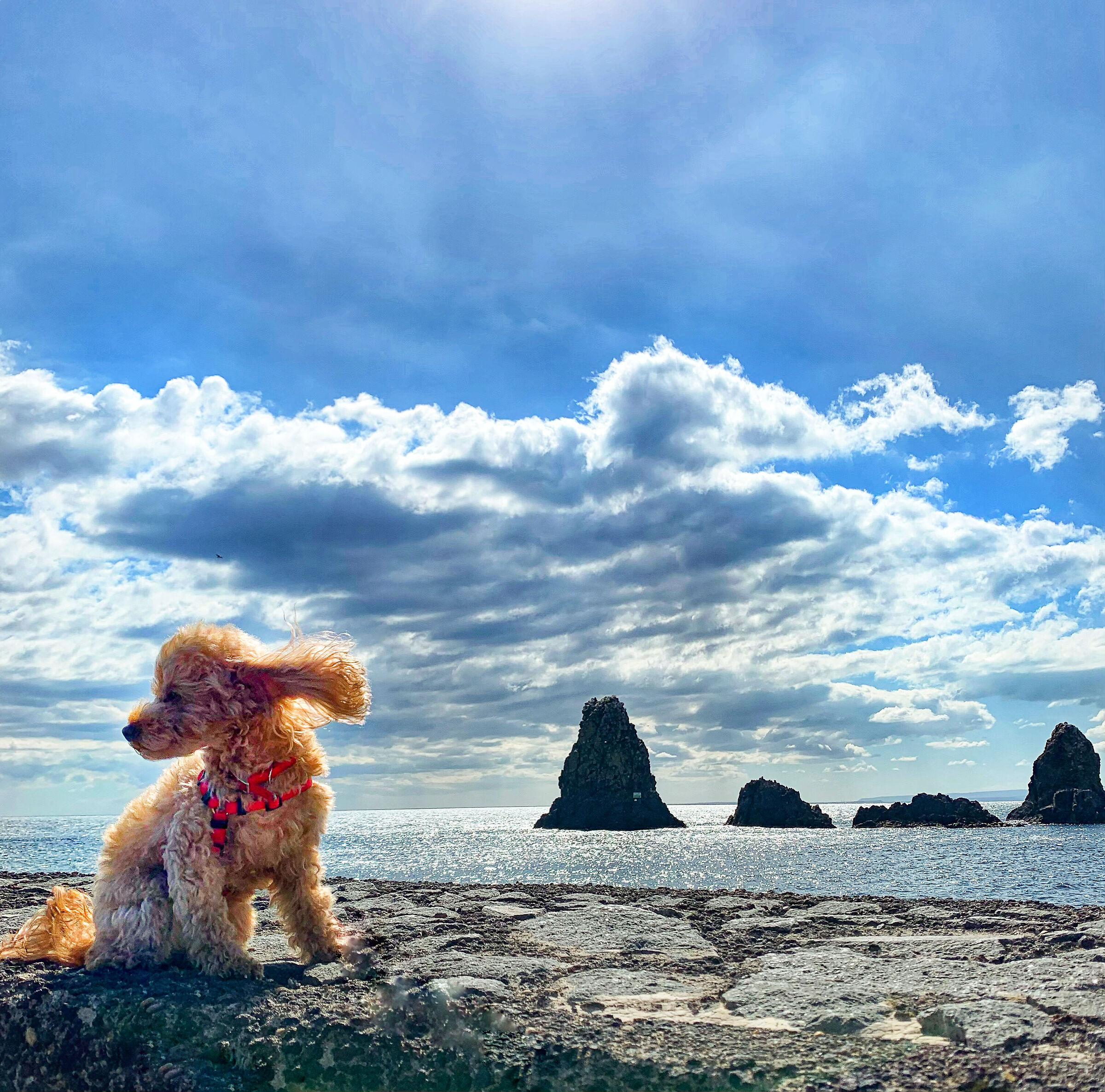 Susy e i ciclopi - Acitrezza