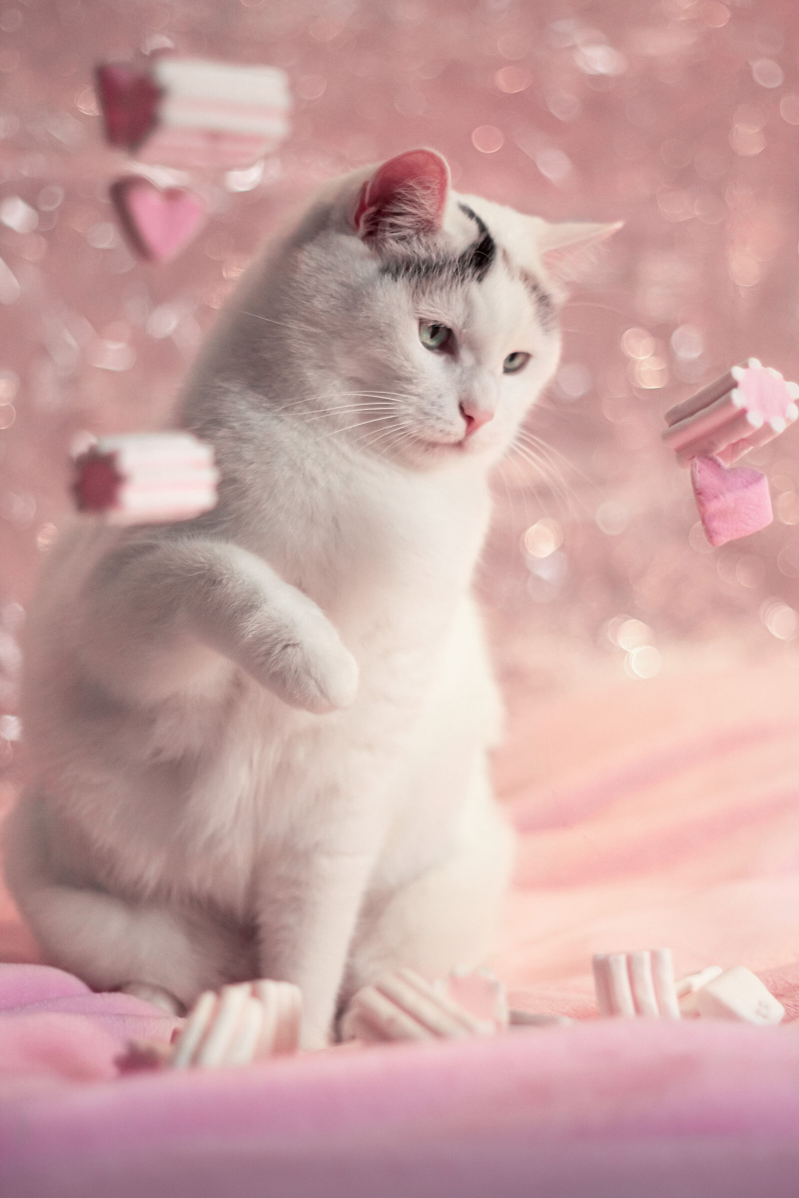 Maya, a rain of sweetness!