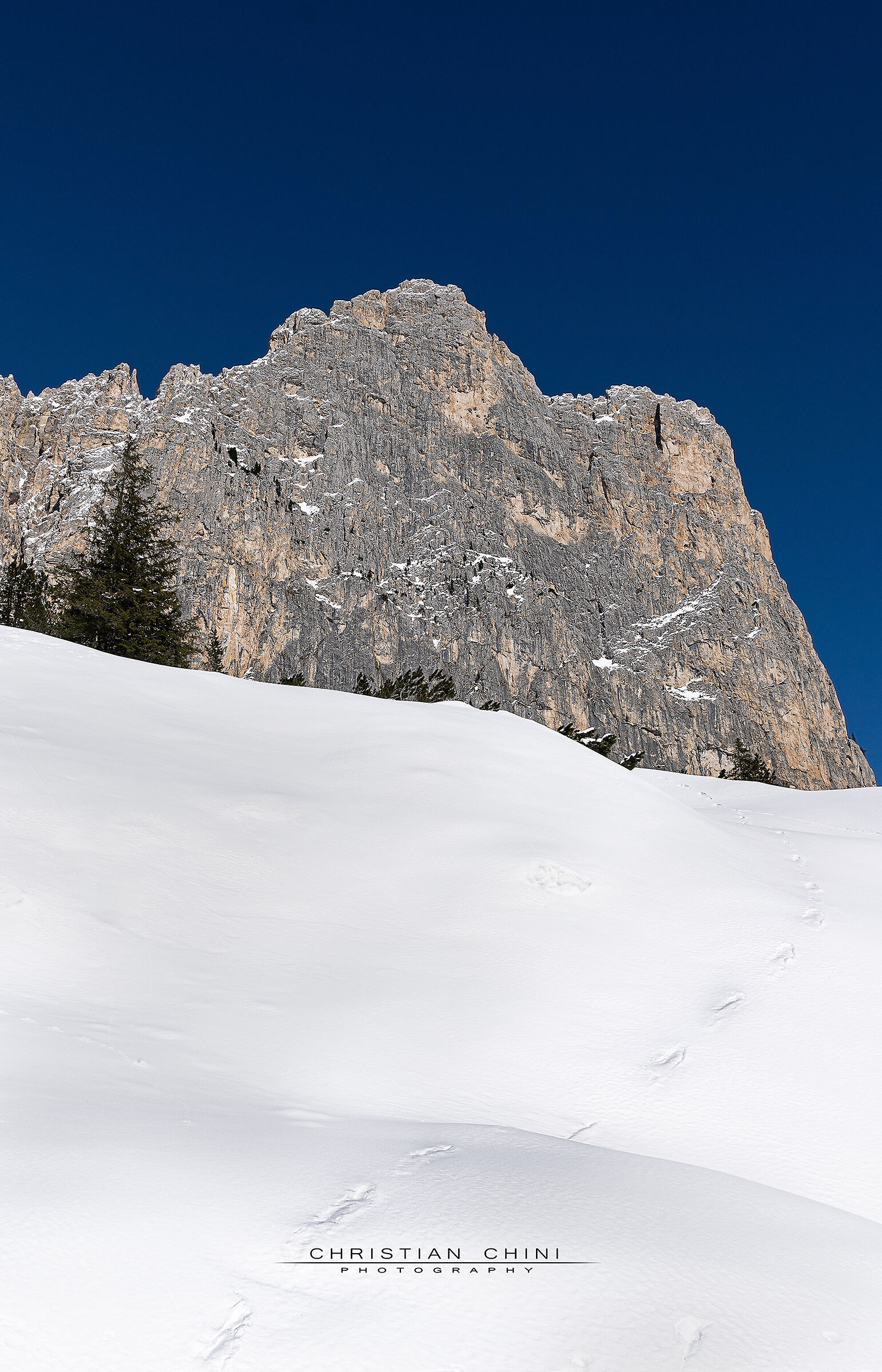 Il richiamo della montagna
