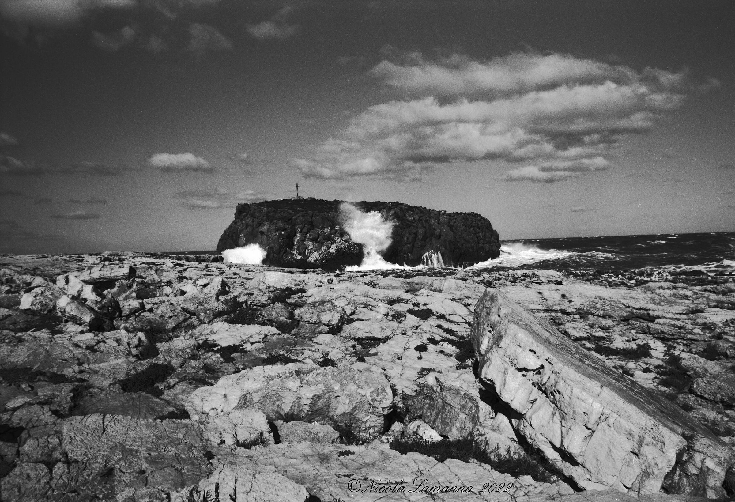 Untitled Photo