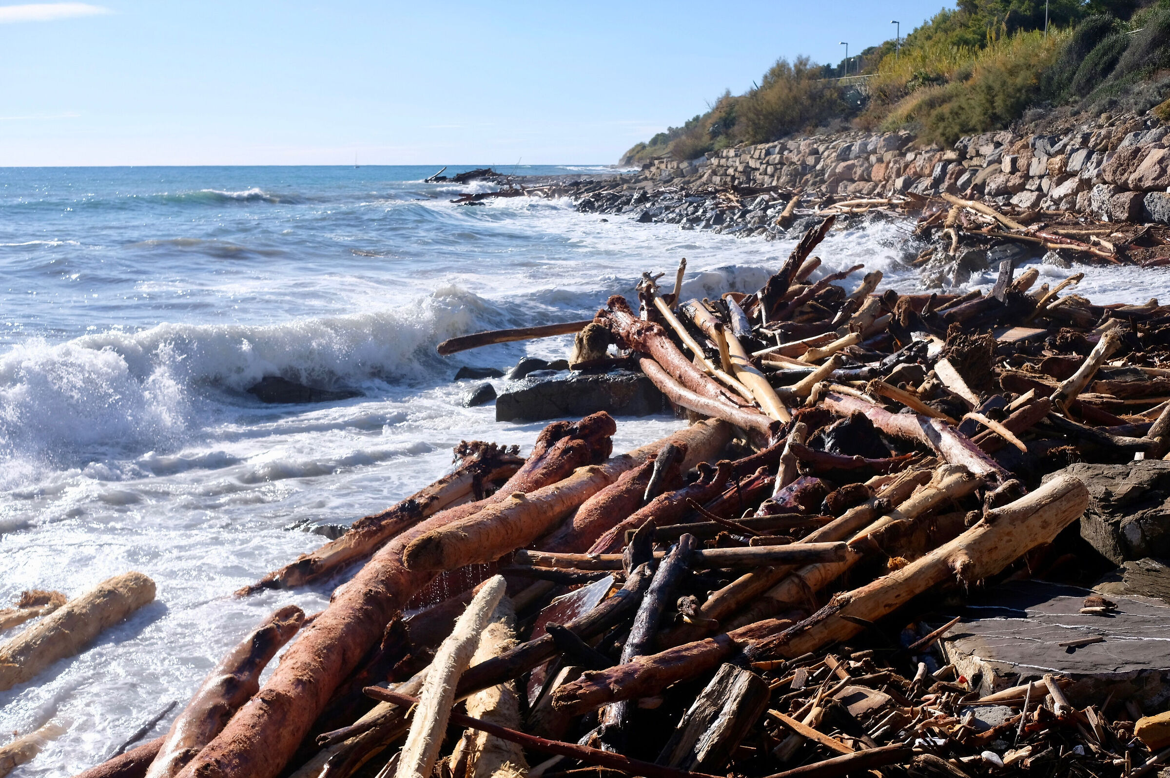 The forests of the mountains reach the sea