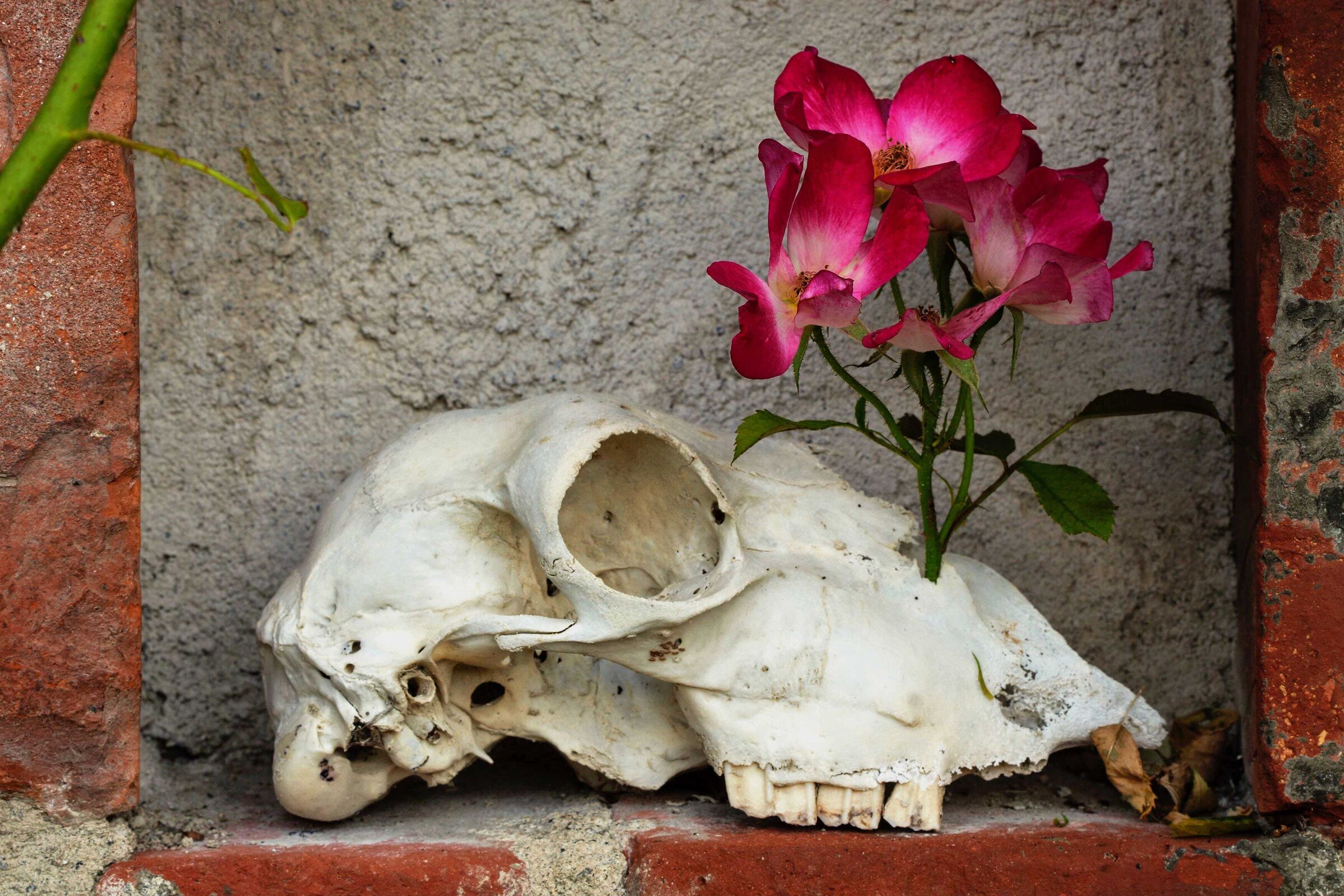 La ragione deve vincere sulla follia!