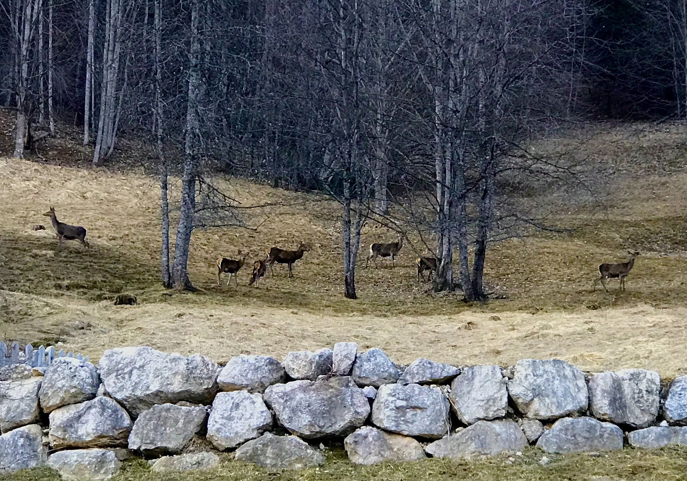 Unexpected encounters