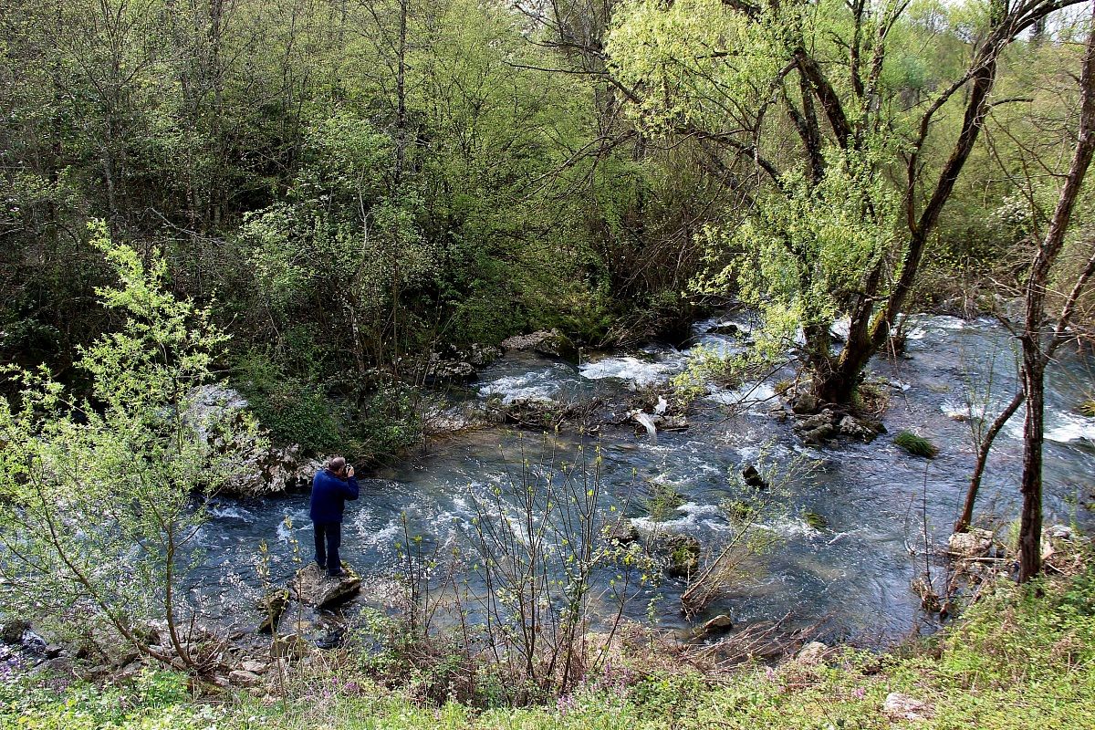 Ode to nature photographer!