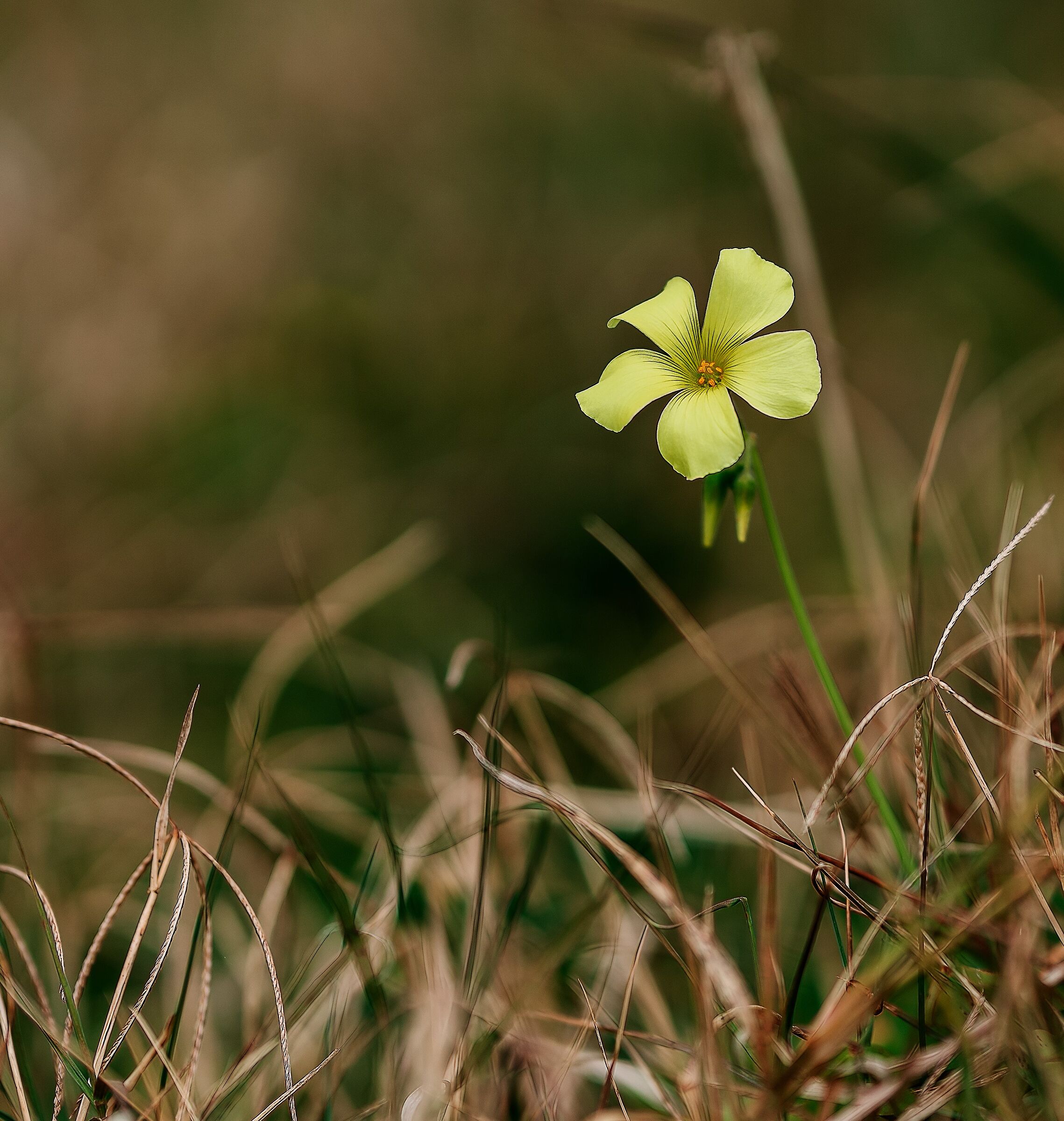 Untitled Photo