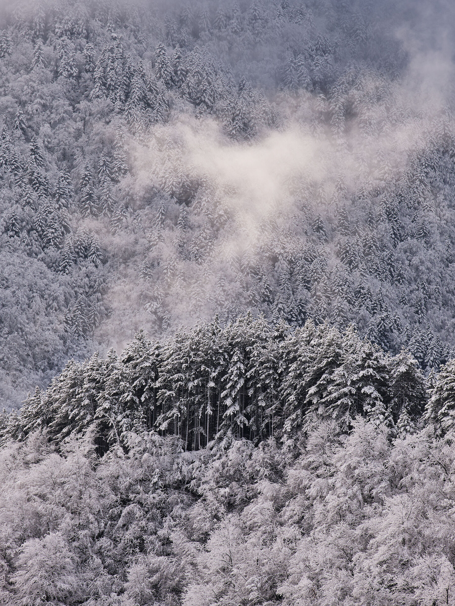 frozen view