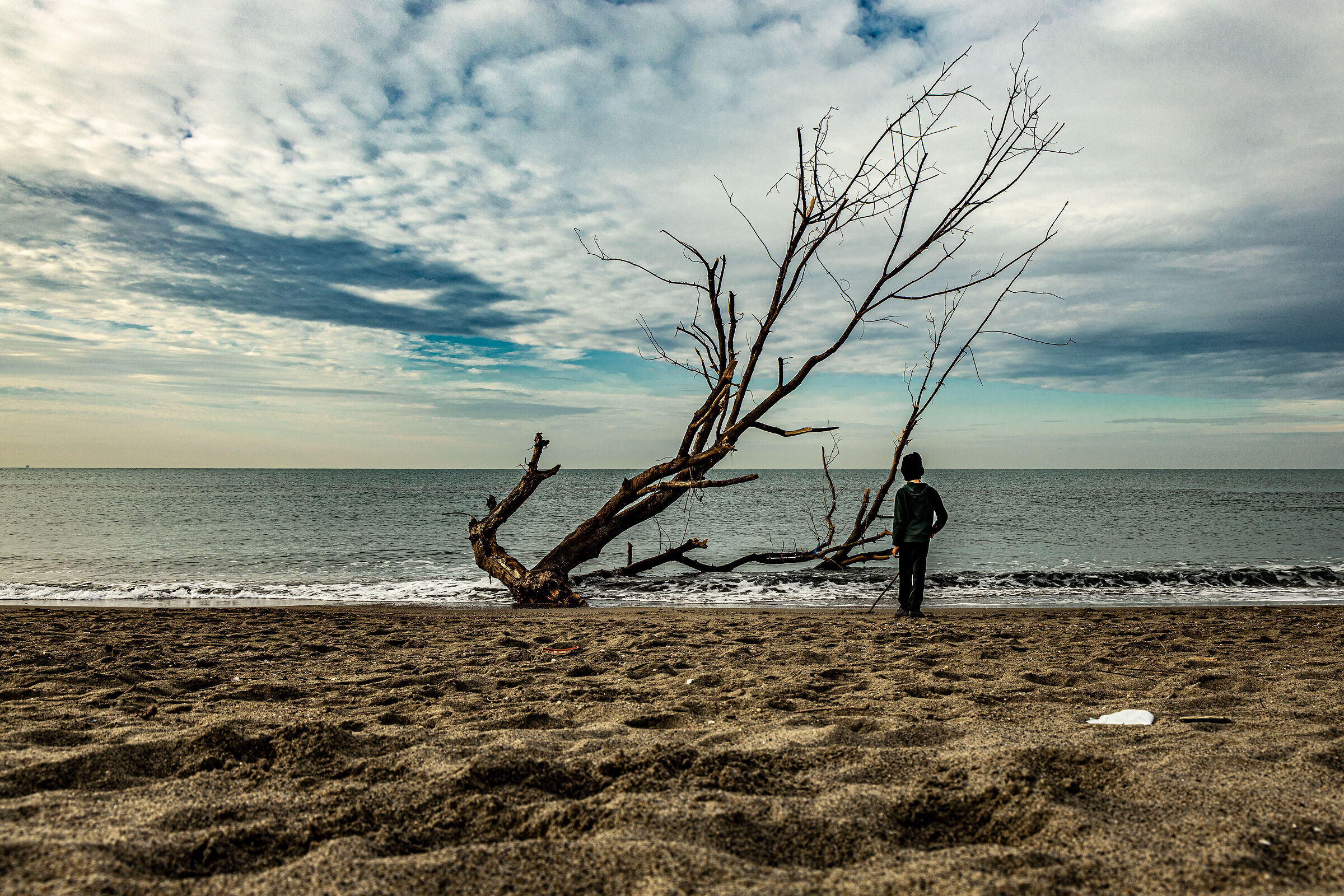 Il vecchio e il mare