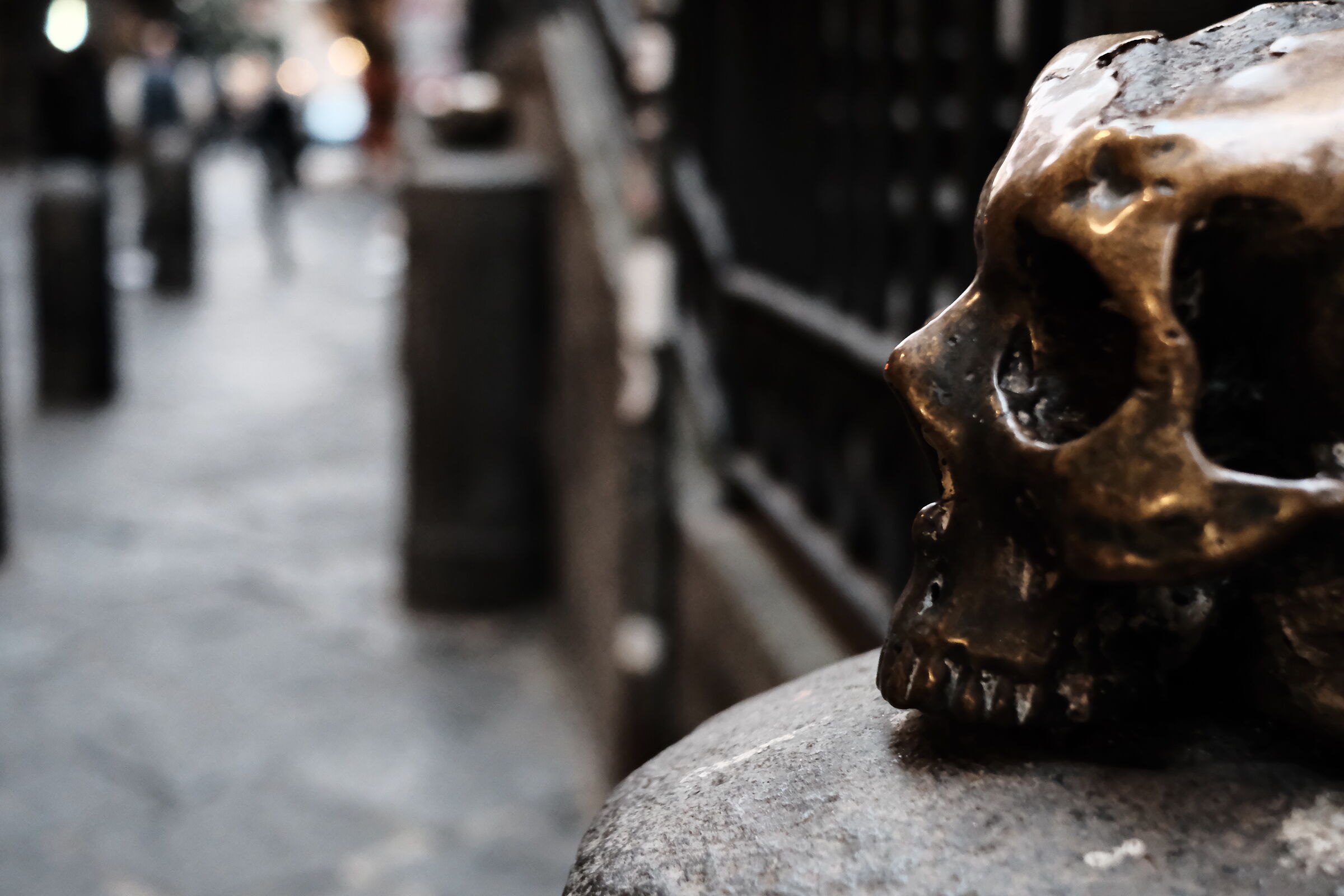 Capuzzella of a purgative soul