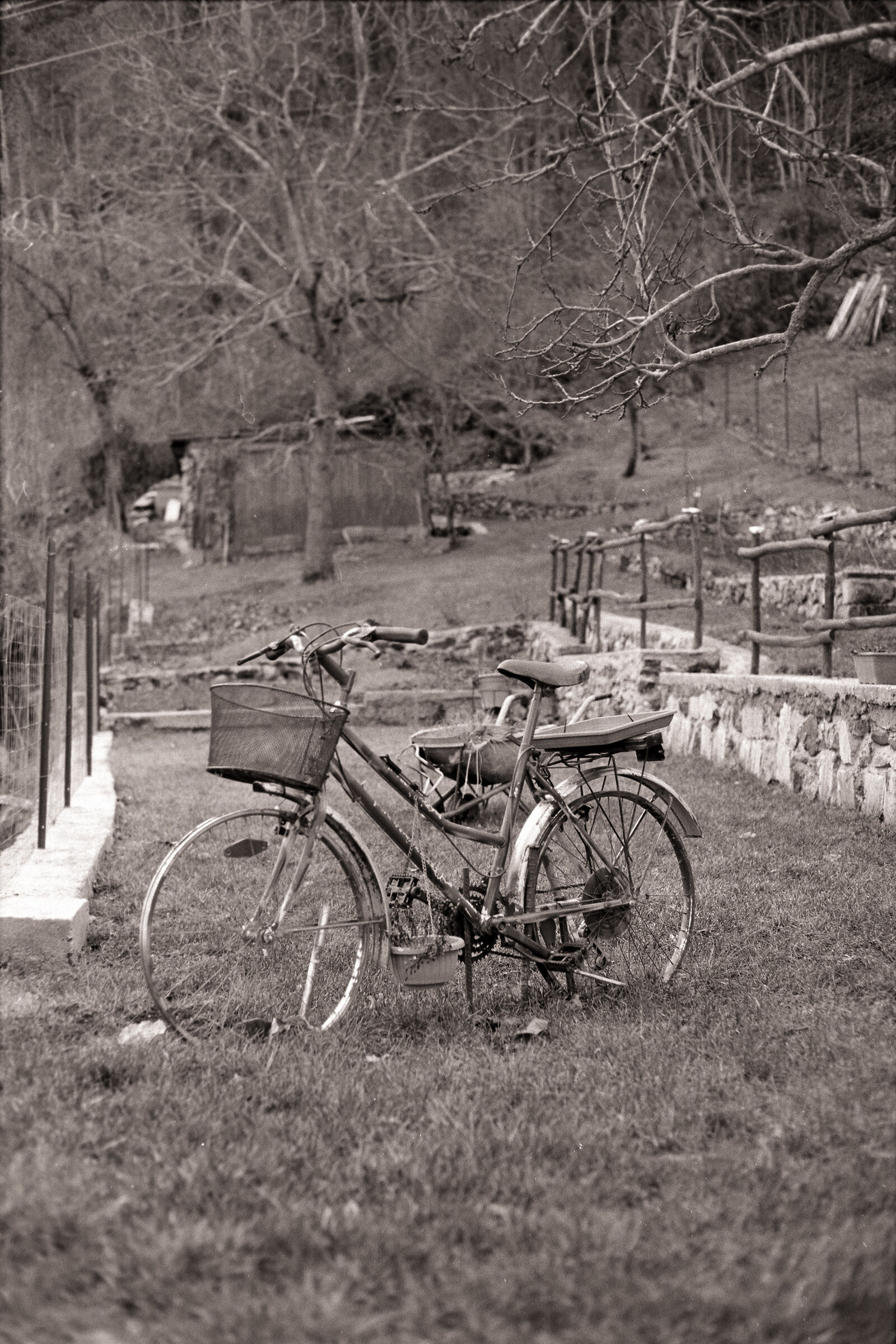 Una bici e il suo giardino