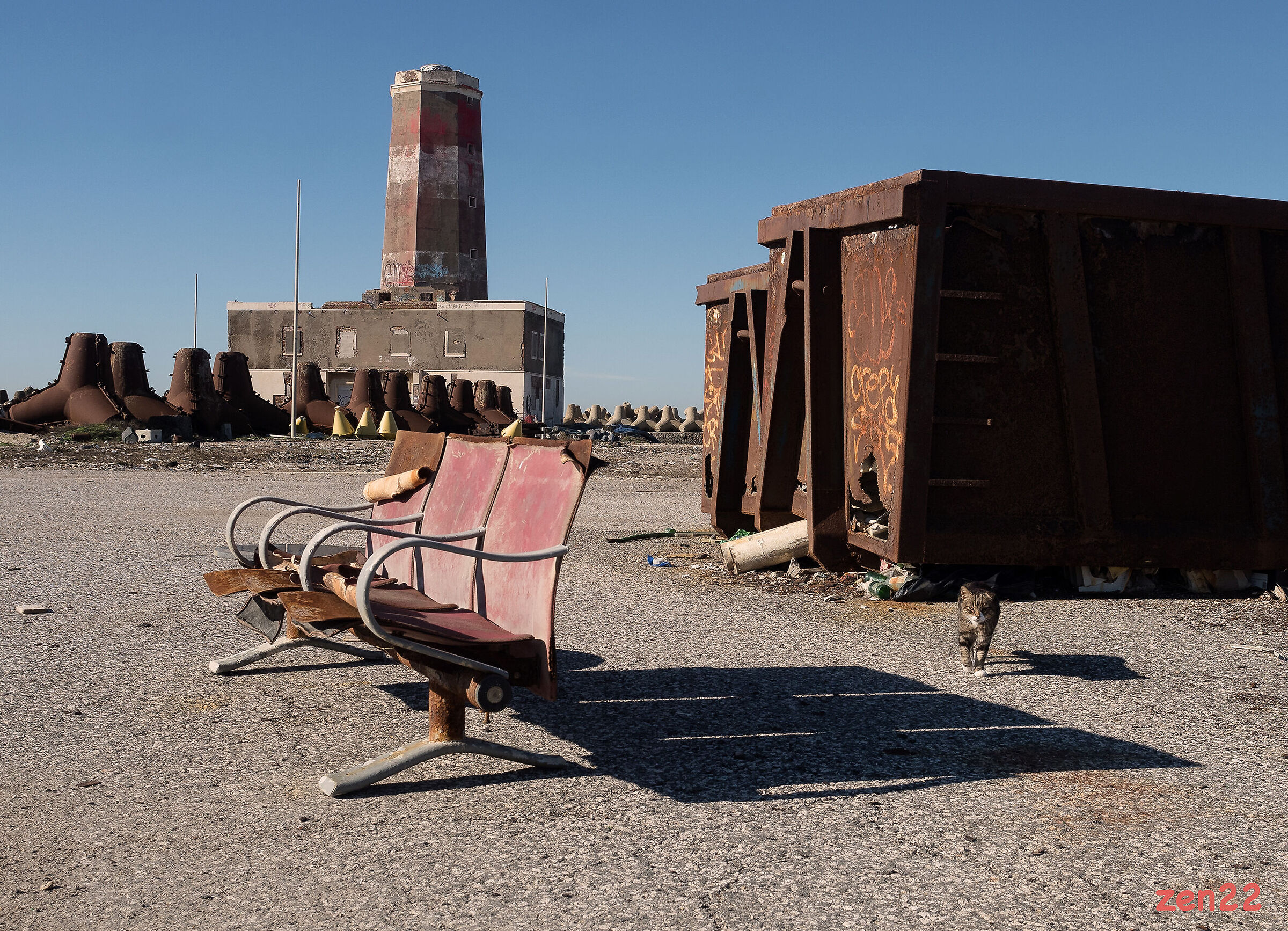The cat of the Old Lighthouse of Fiumicino
