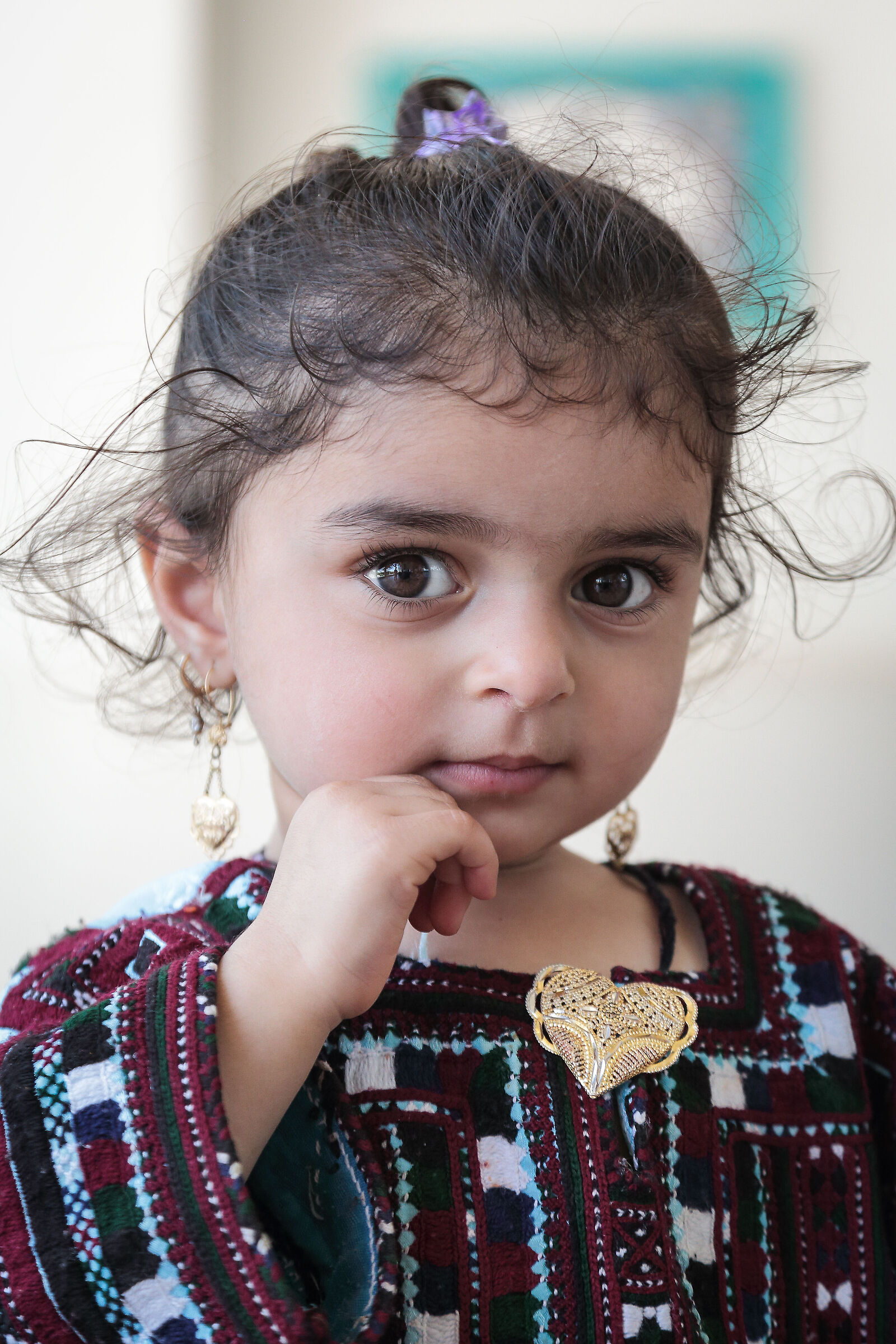 bimba a Naranjastan-e Qavam-1