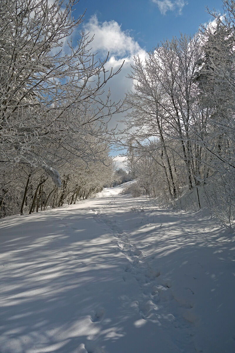 Ultime nevi sul Subasio