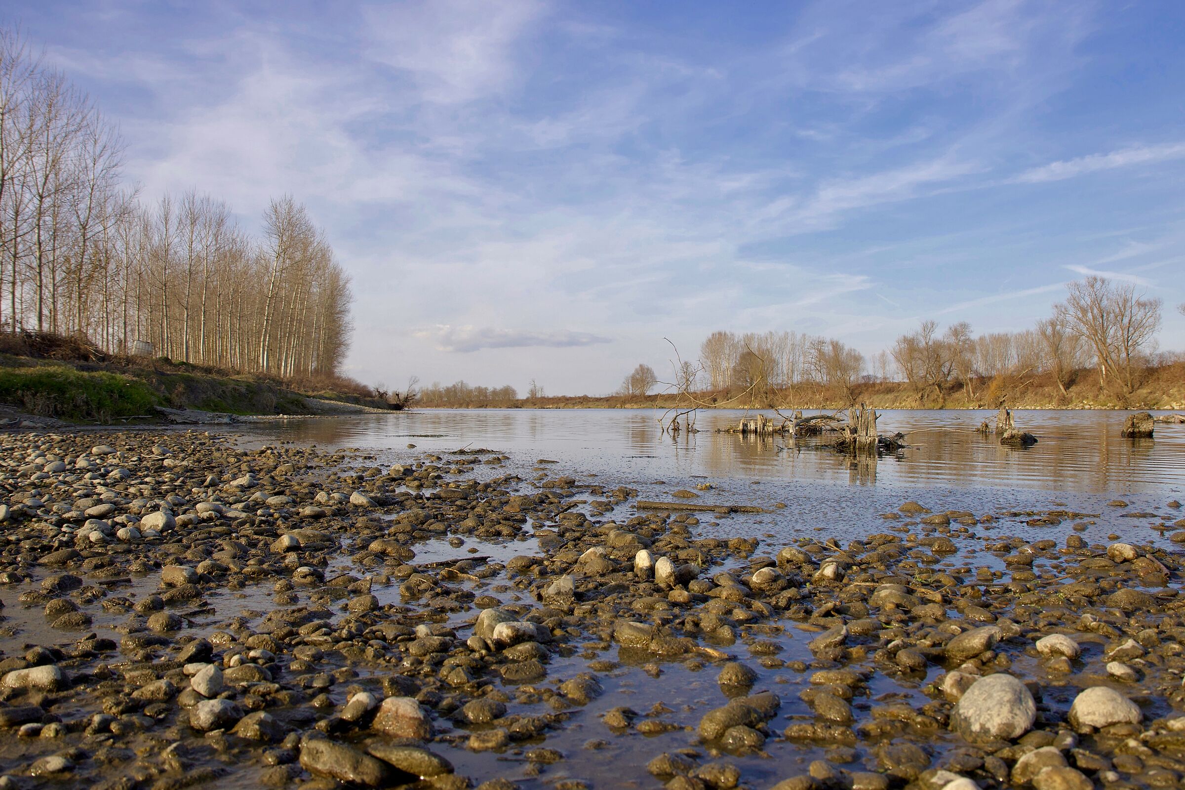 Along the Sesia