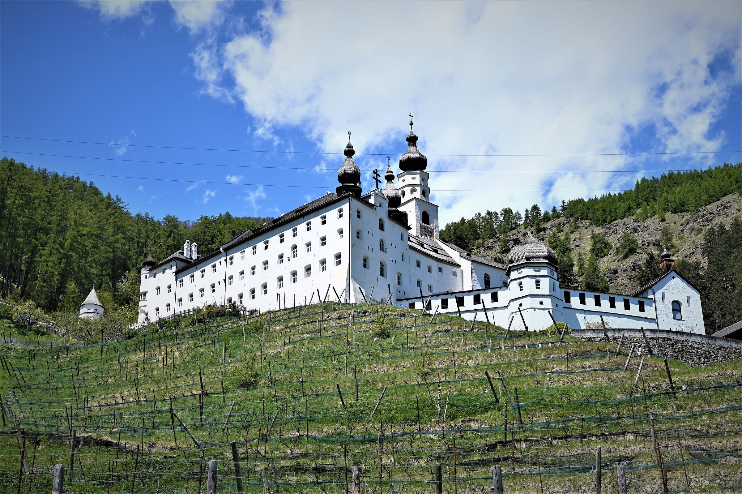 Benedictine Abbey of Marienberg - 2 -