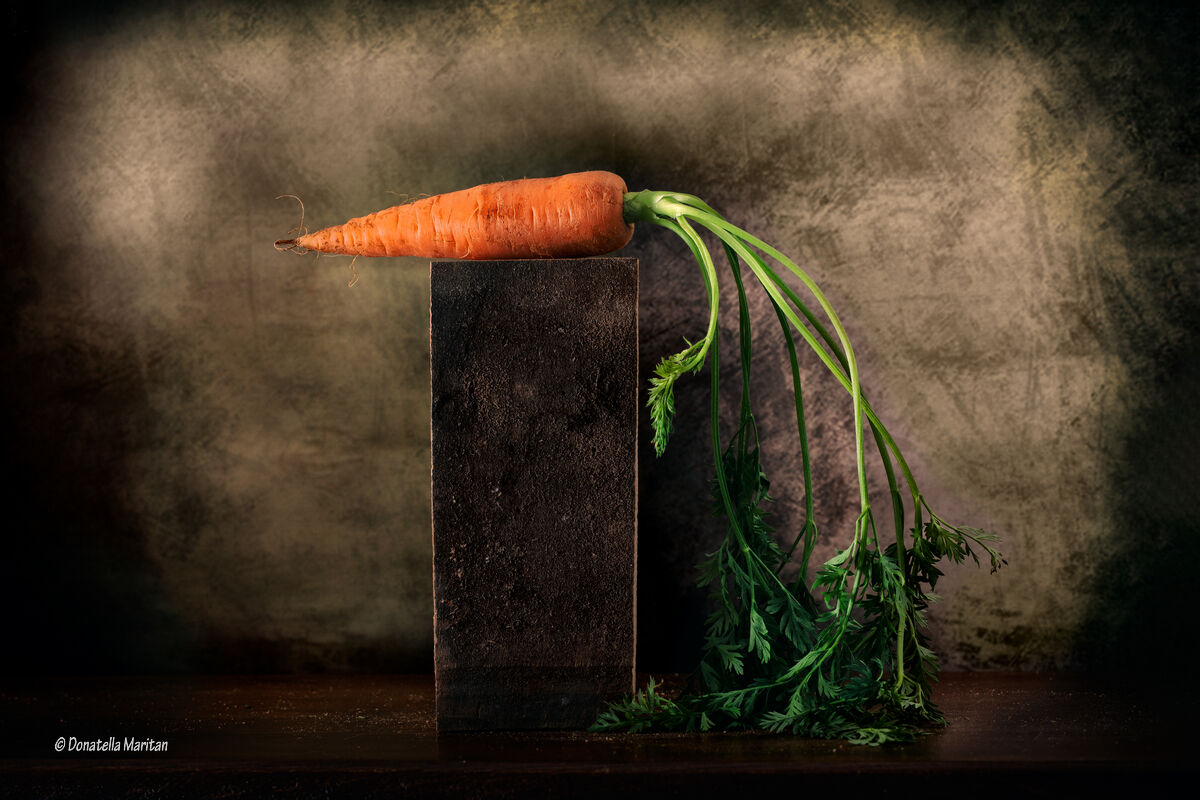 Carota