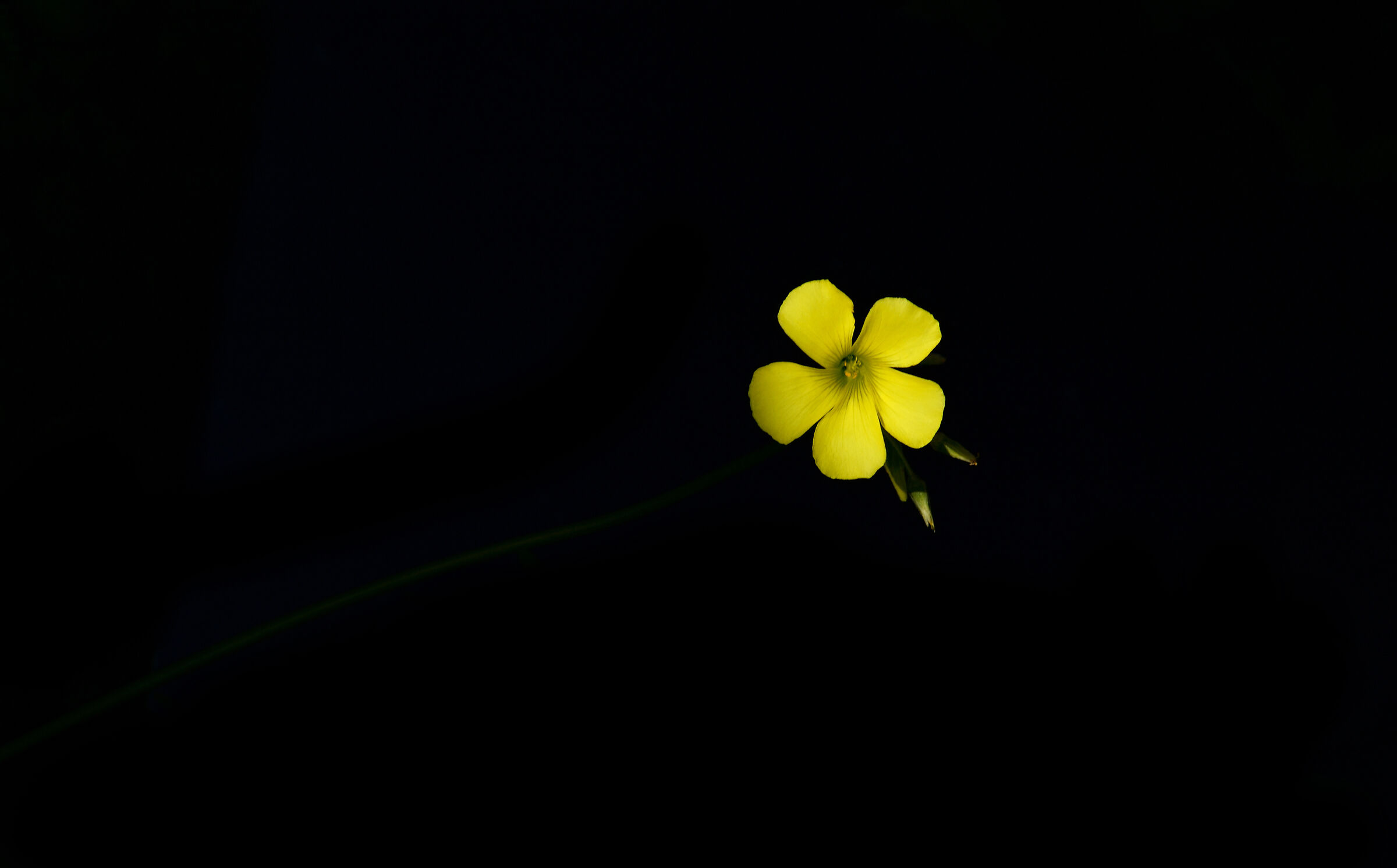Untitled Photo