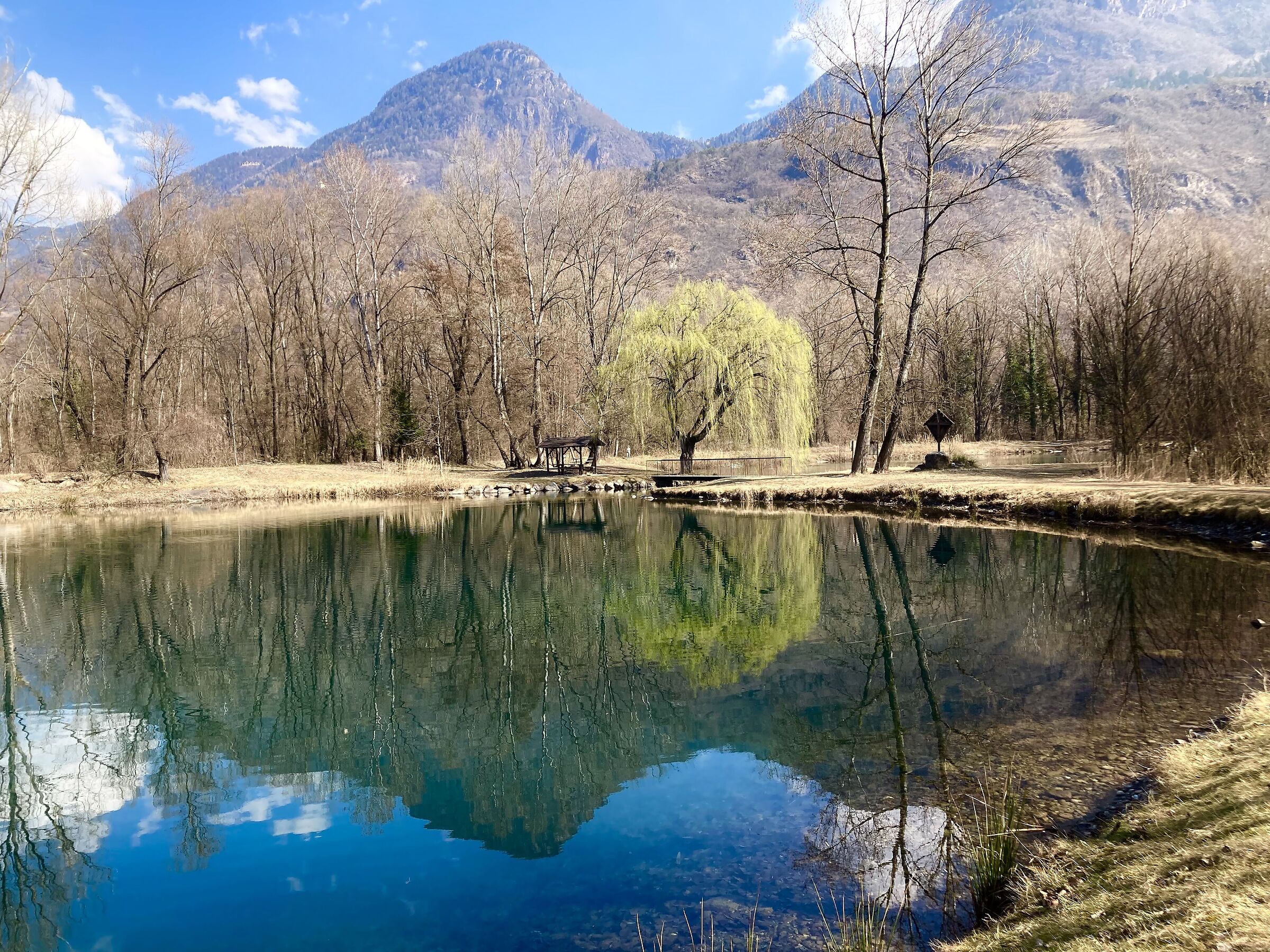 "Primavera" sembra che e in arrivo