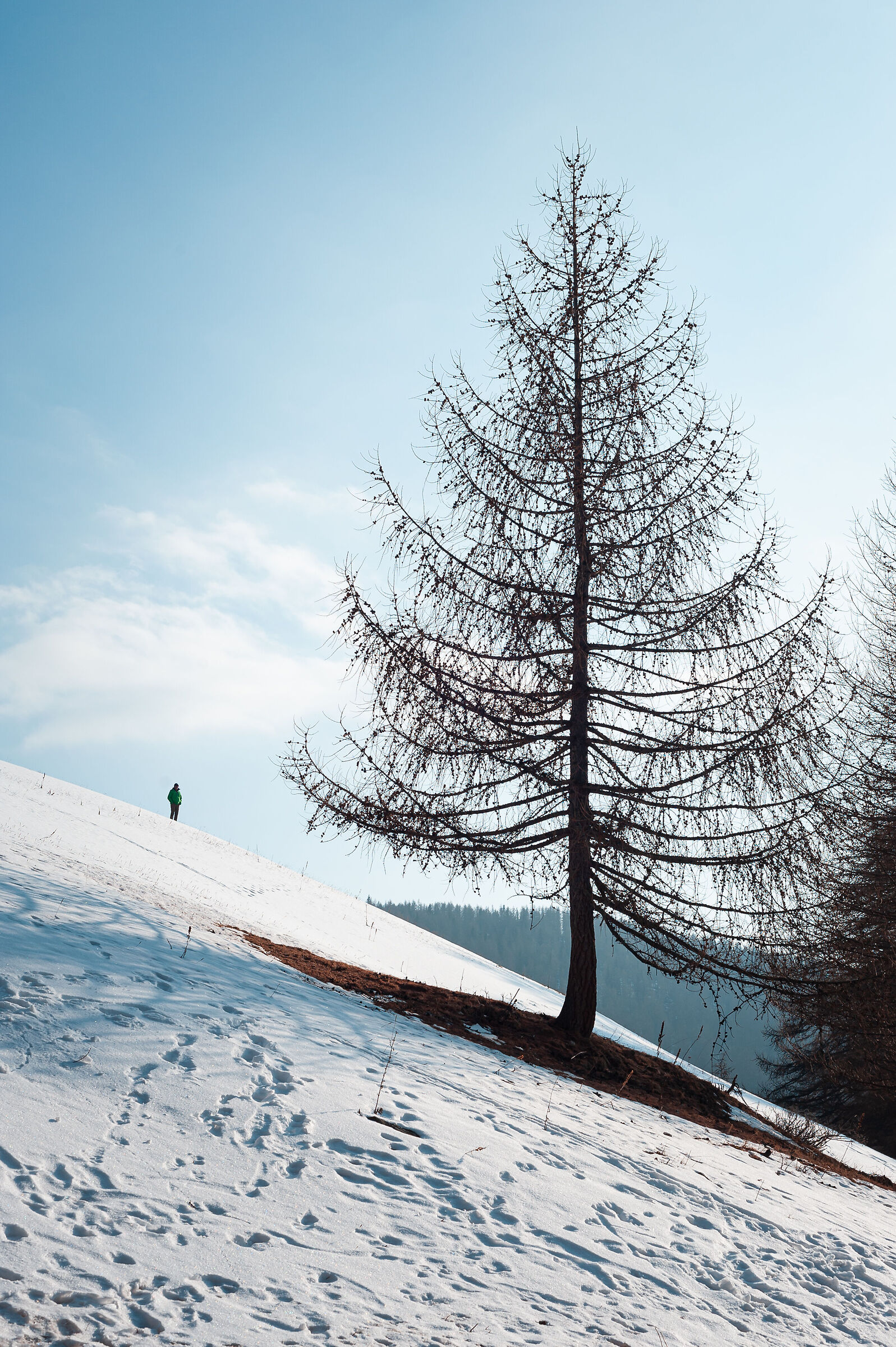 Uomo e Natura.