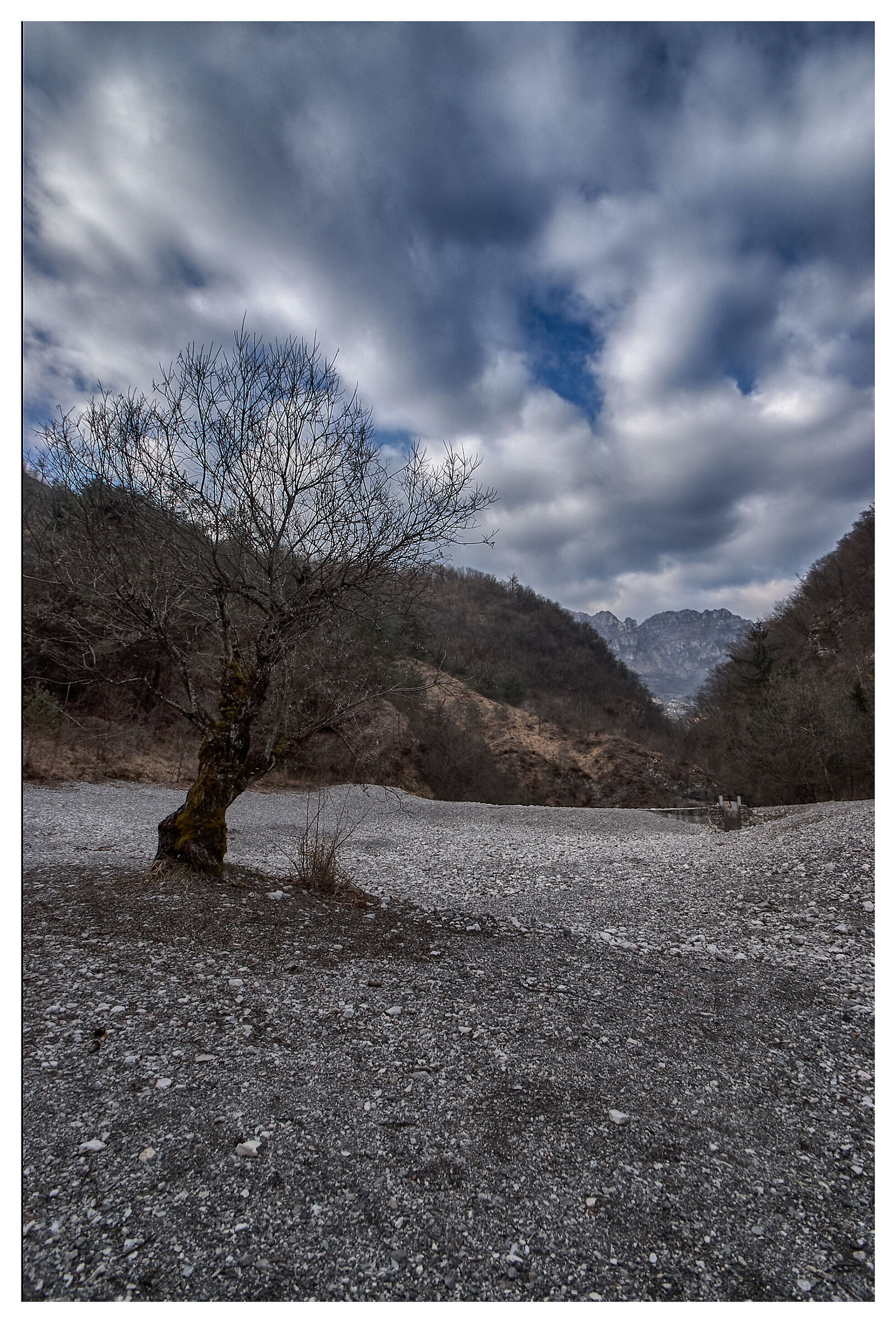Dry season