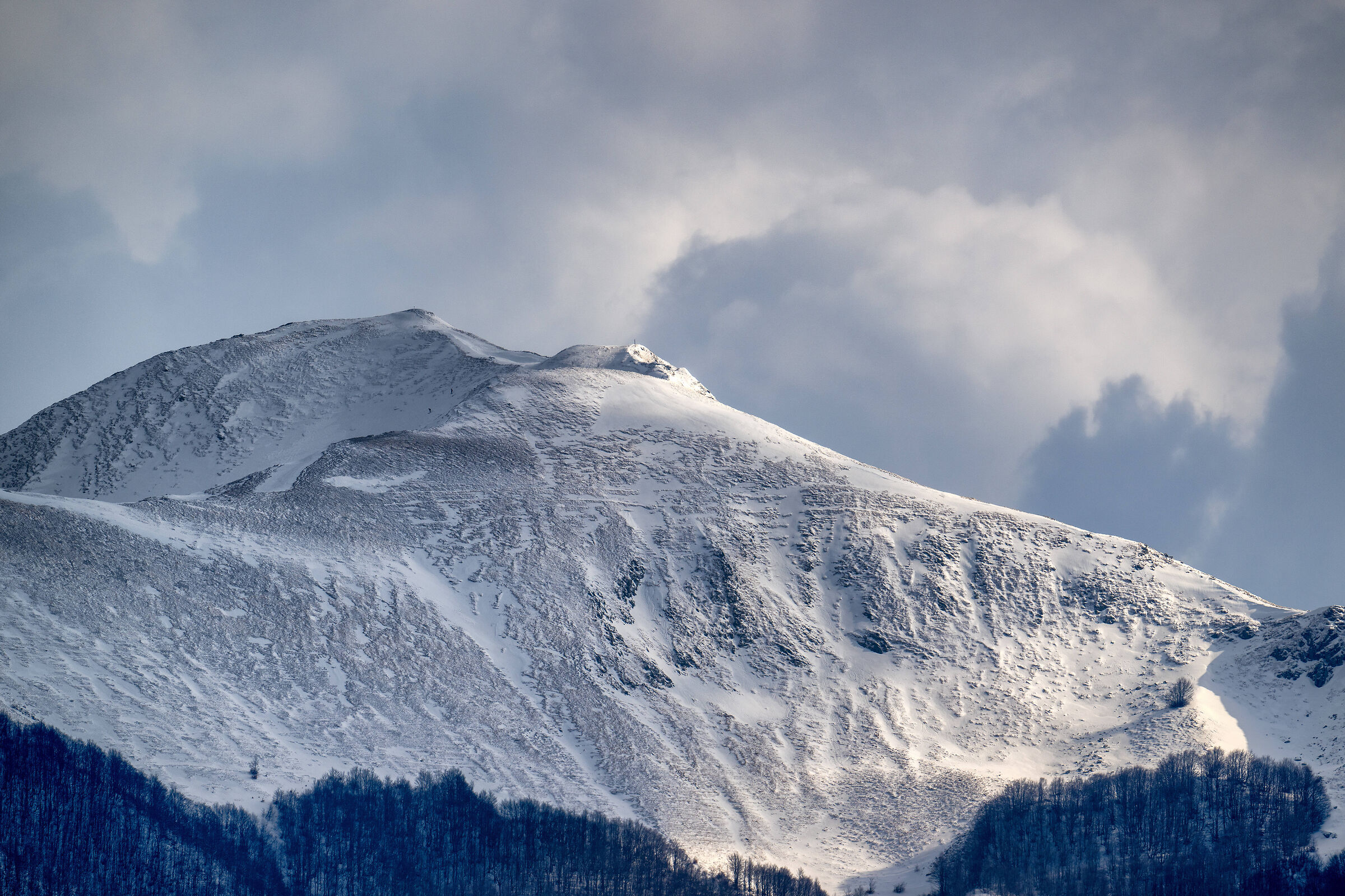 nikon z9 | freddo inverno