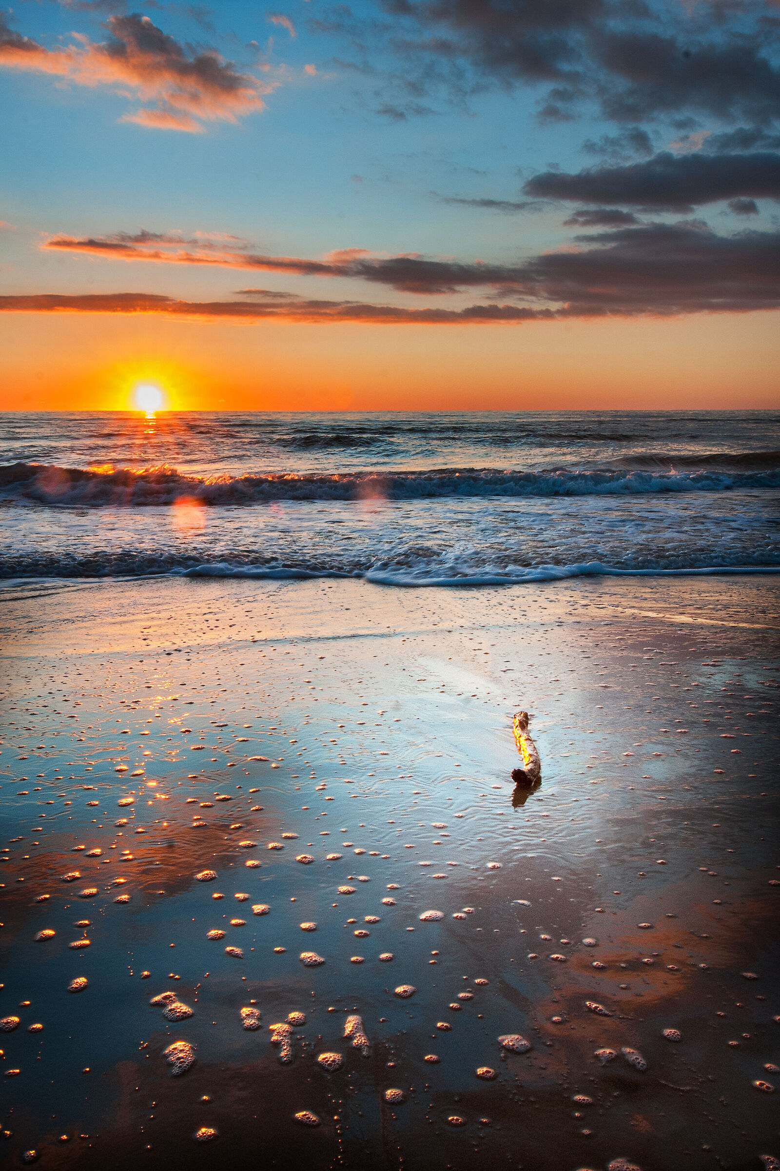 The colors of the sea...