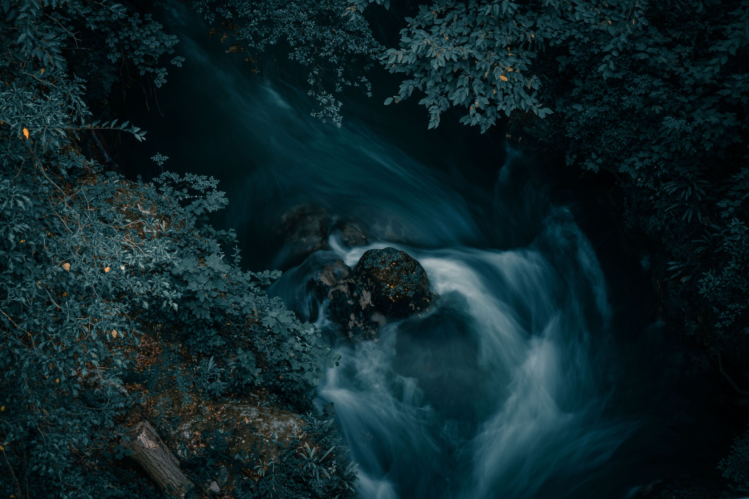 The sinuous course of the river