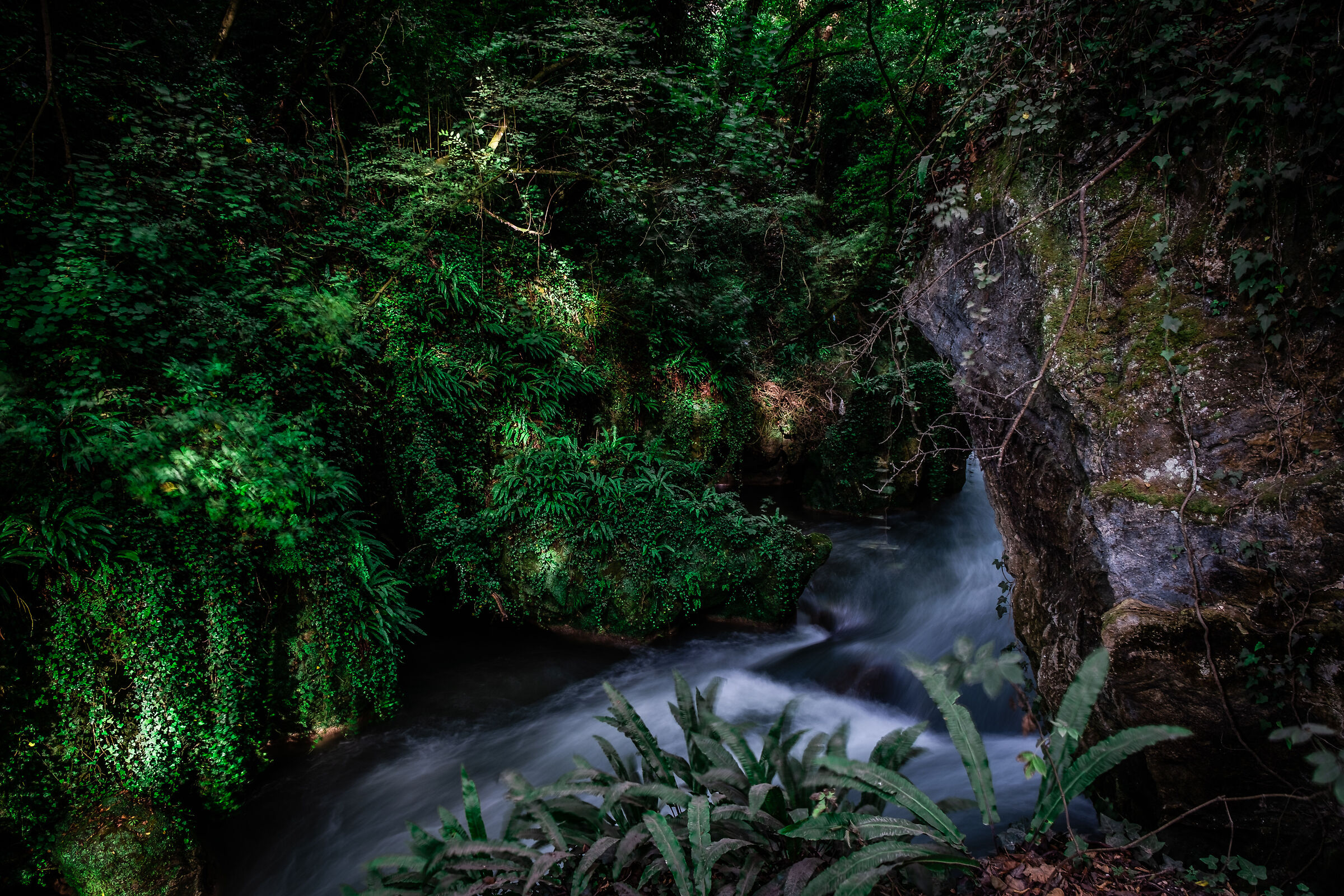 The sinuous course of the river 2