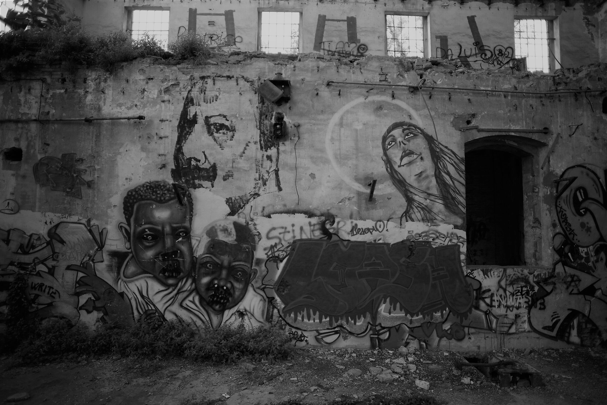 Untitled Photo