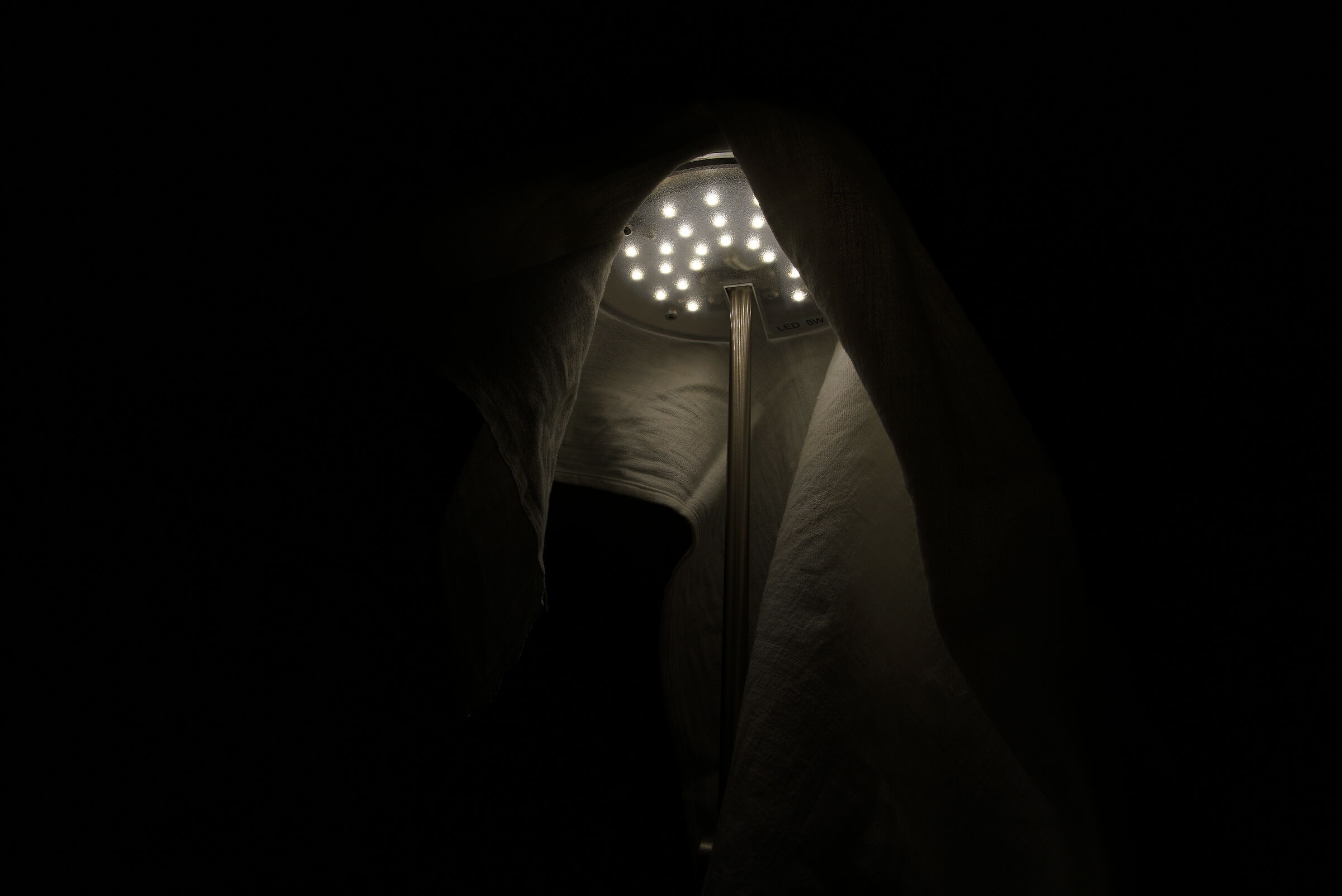 Veiled lamp