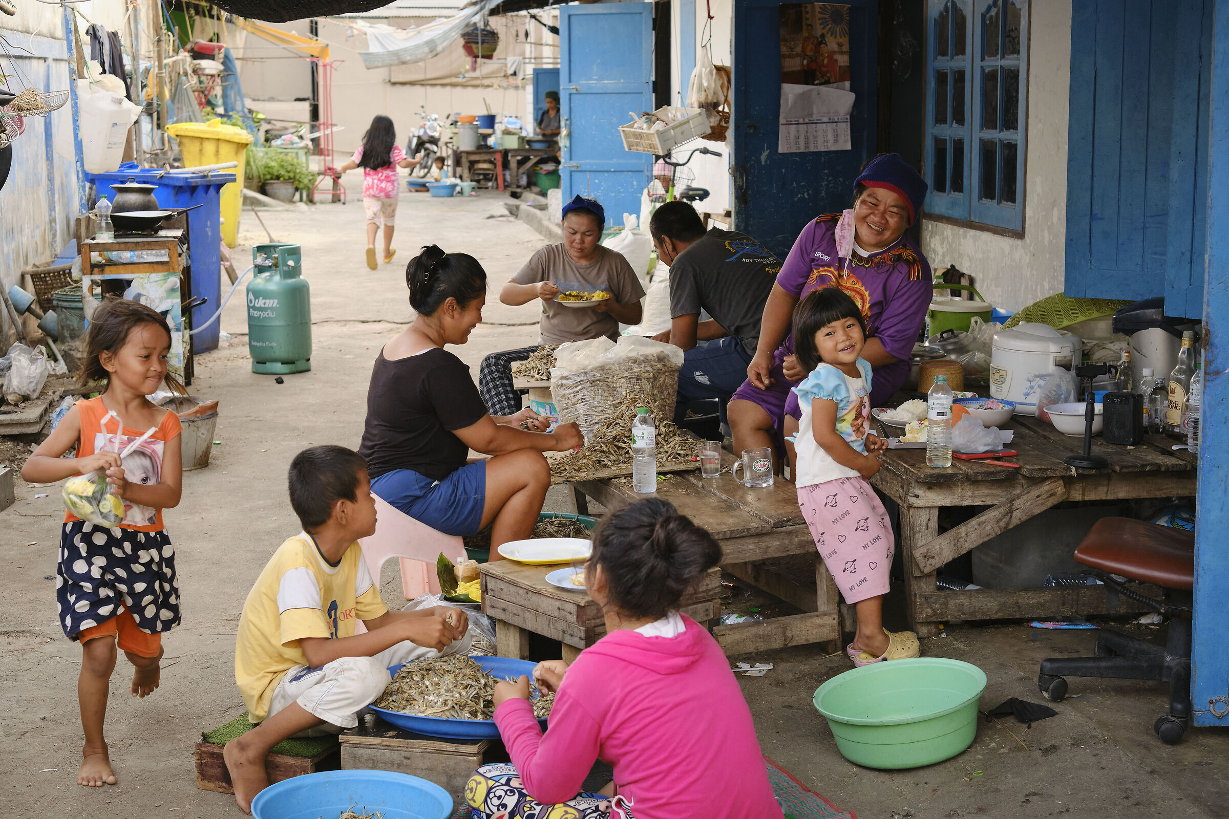 The care of anchovies