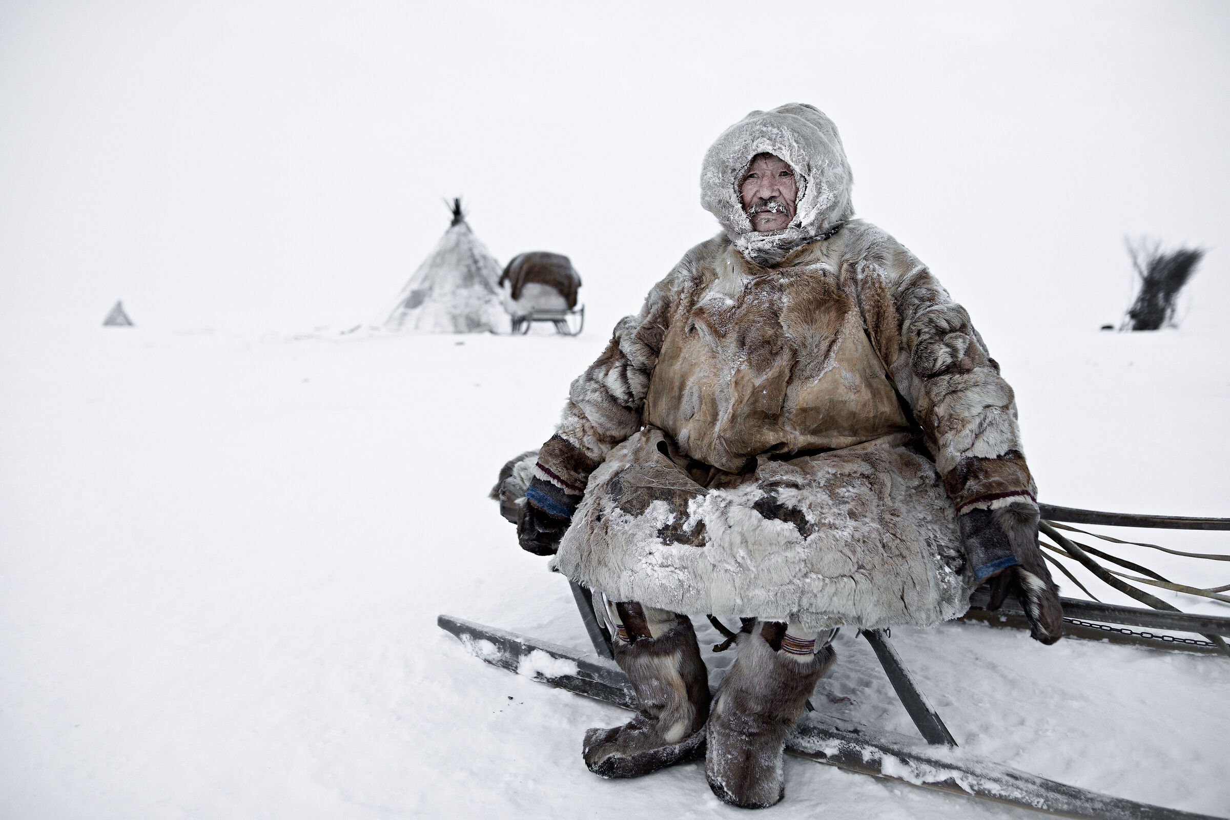 Life in Tundra