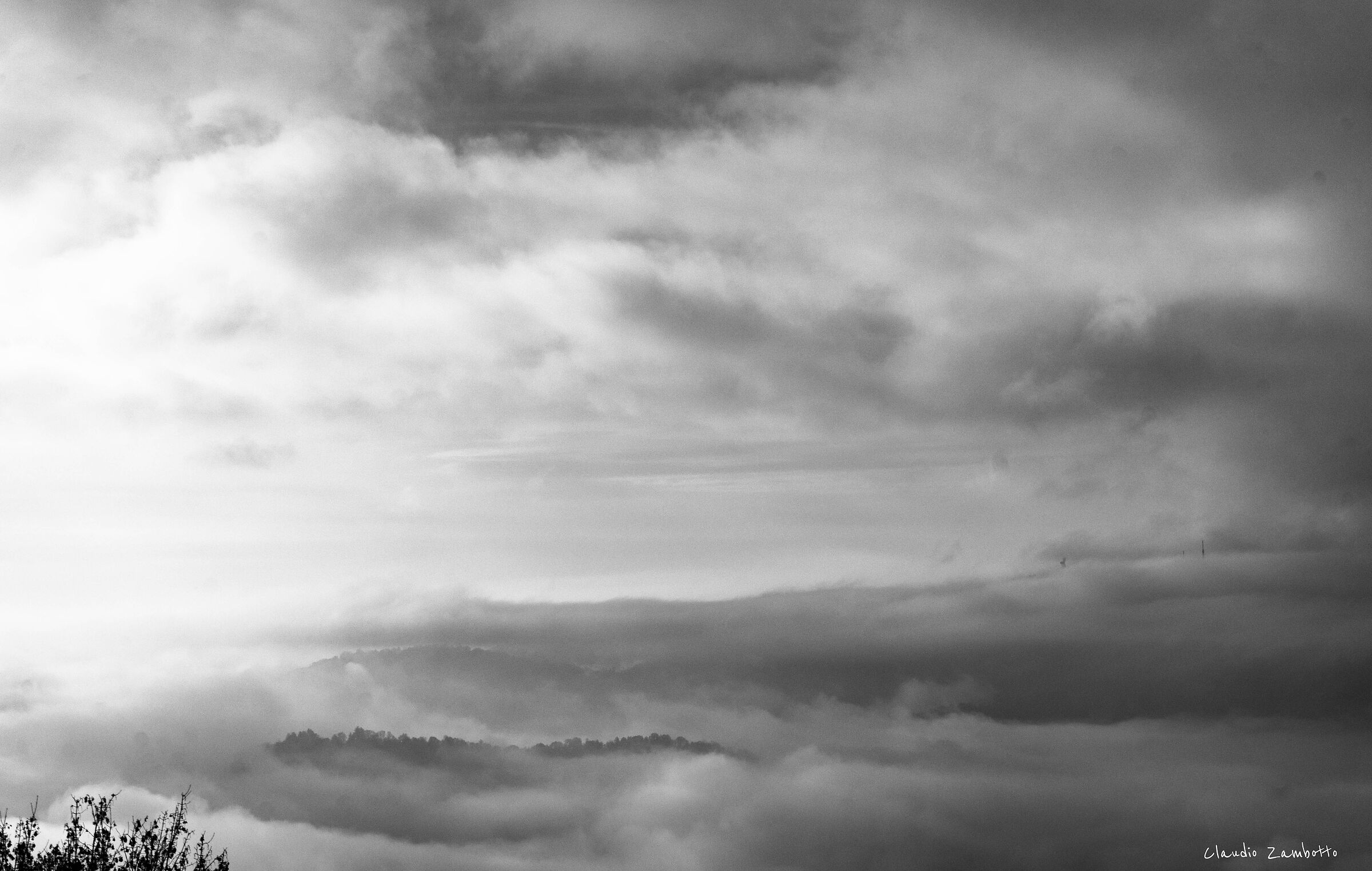 FOG