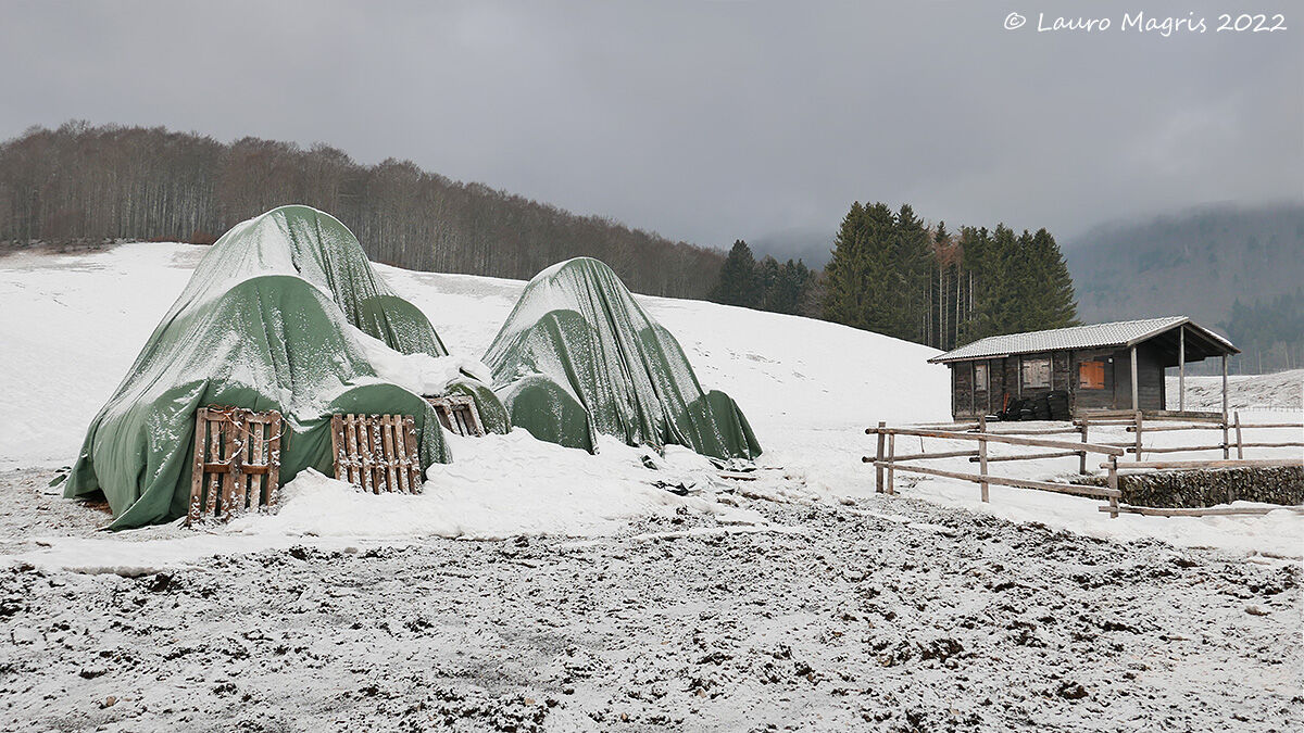 Rotoballe sottocoperta