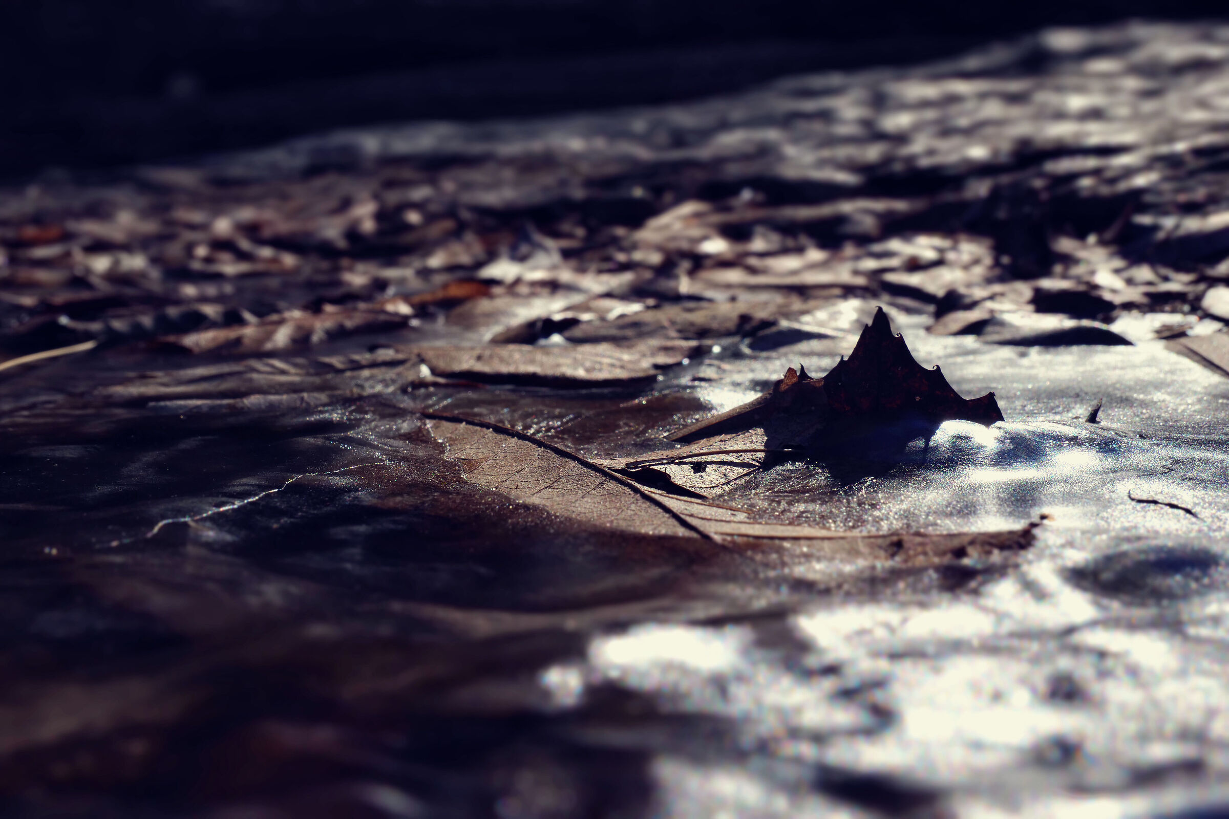 Erebor, la montagna solitaria...(forse)