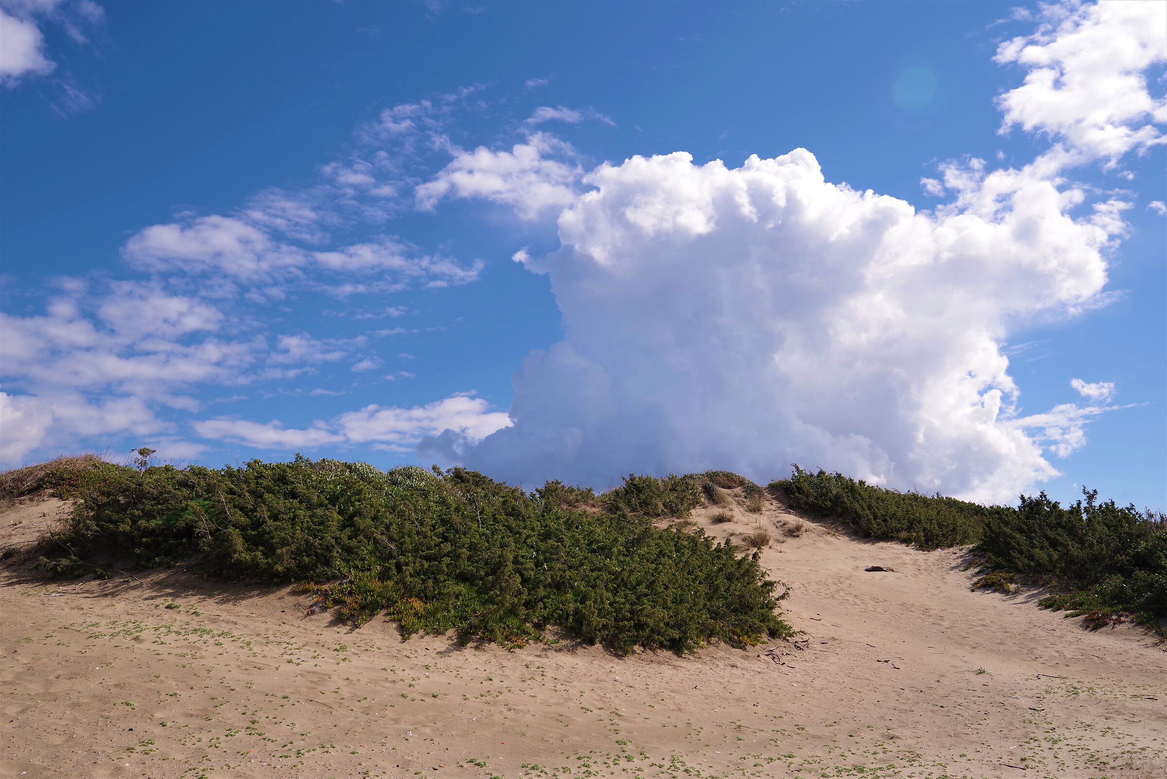 ... the unexpected...