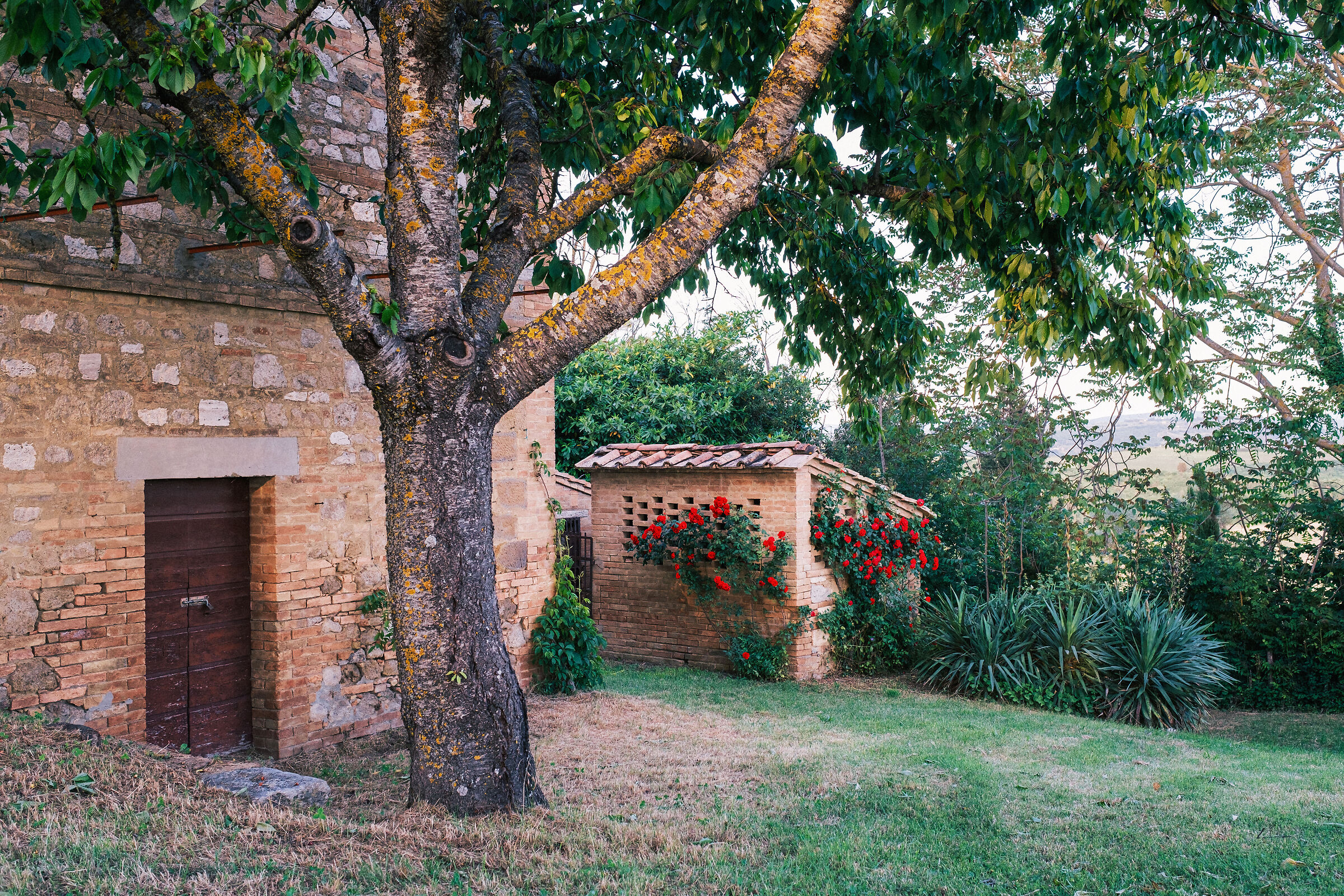 In Tuscany