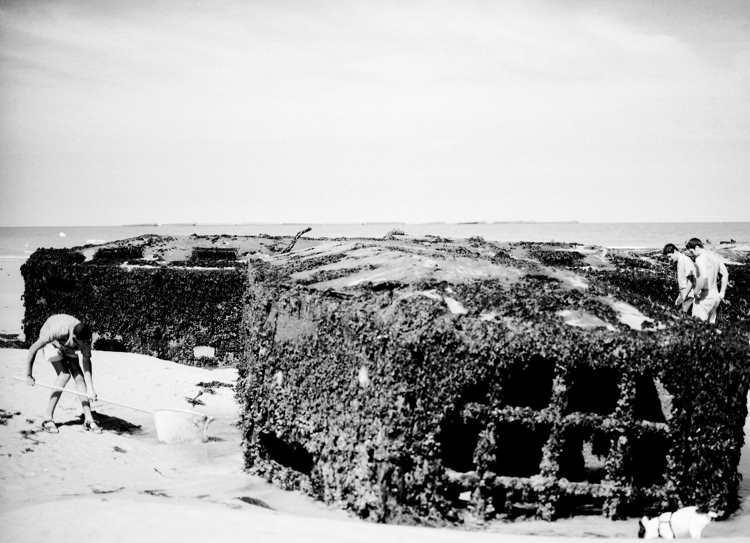 Il pescatore tra i resti del porto americano.