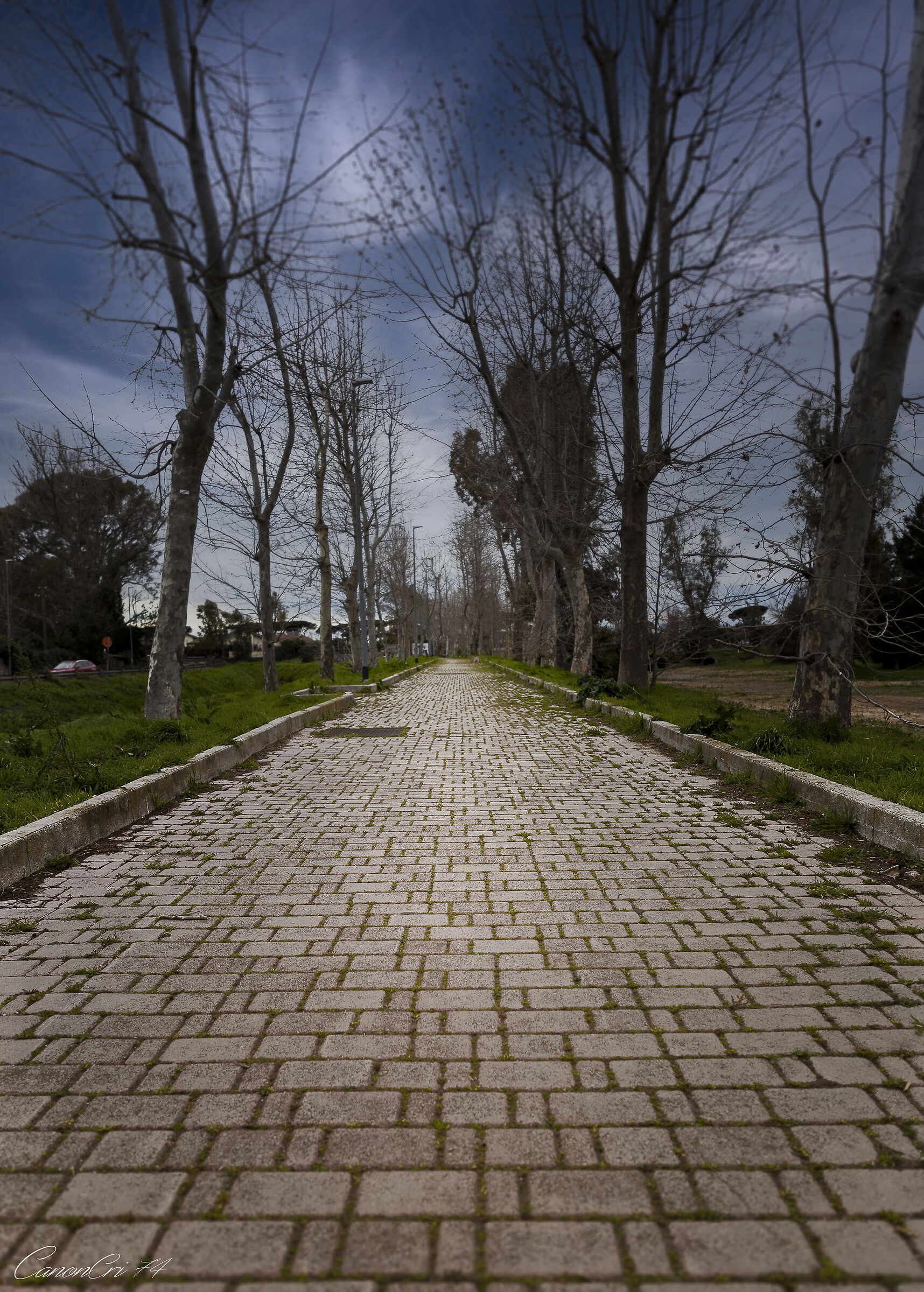 passeggiata alberata