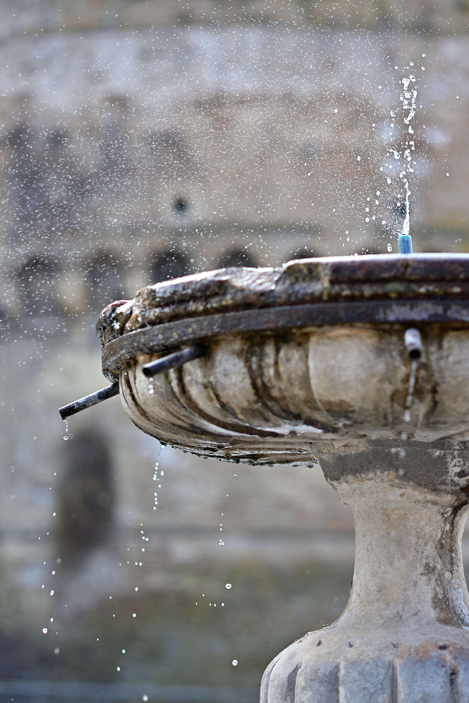 Test Nikon 85 Ai f/2