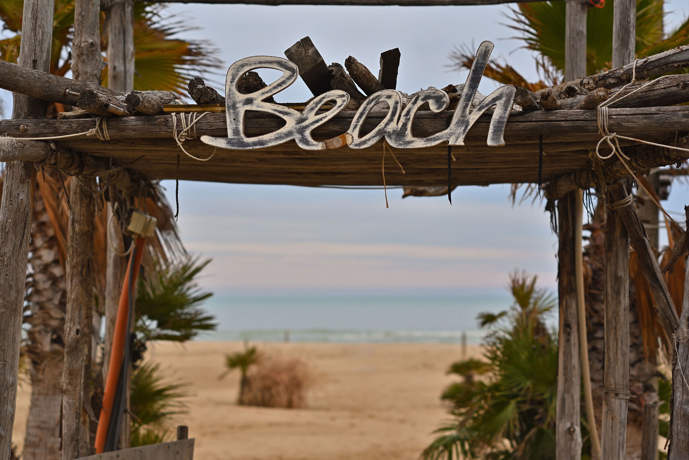 Test Nikon 85 Ai f/2