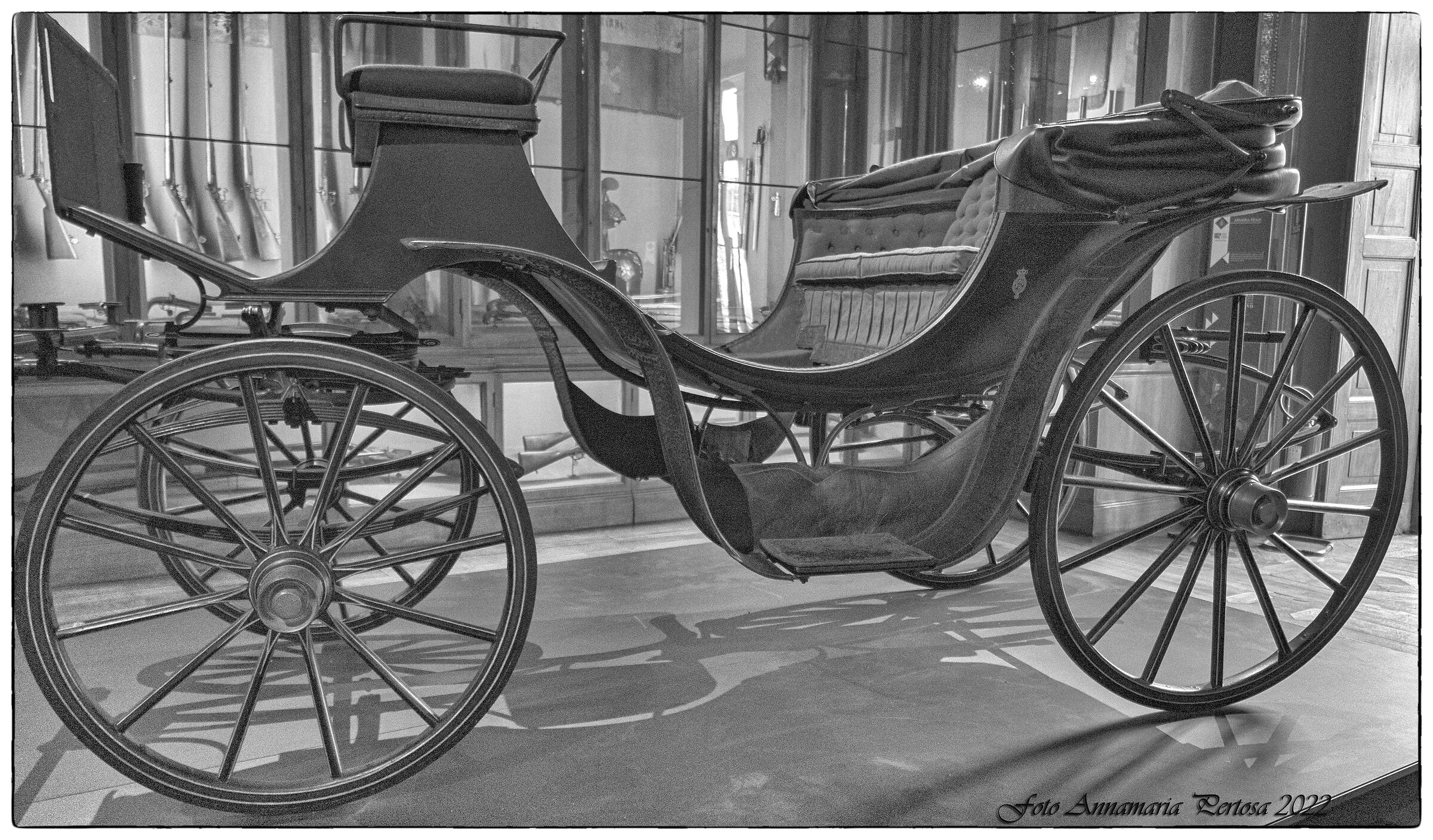 The carriage of Vittorio Emanuele II