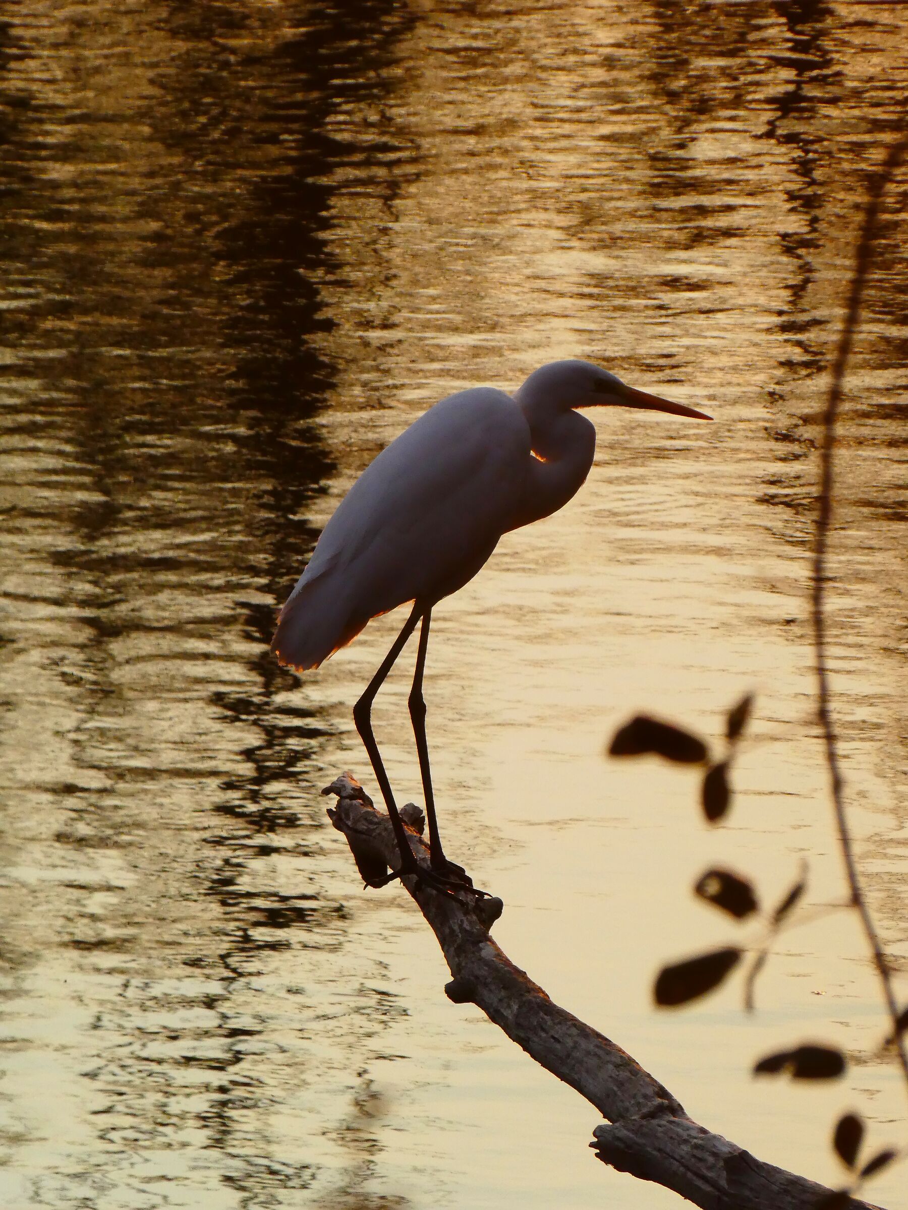 Tramonto ai laghetti delle Noghere