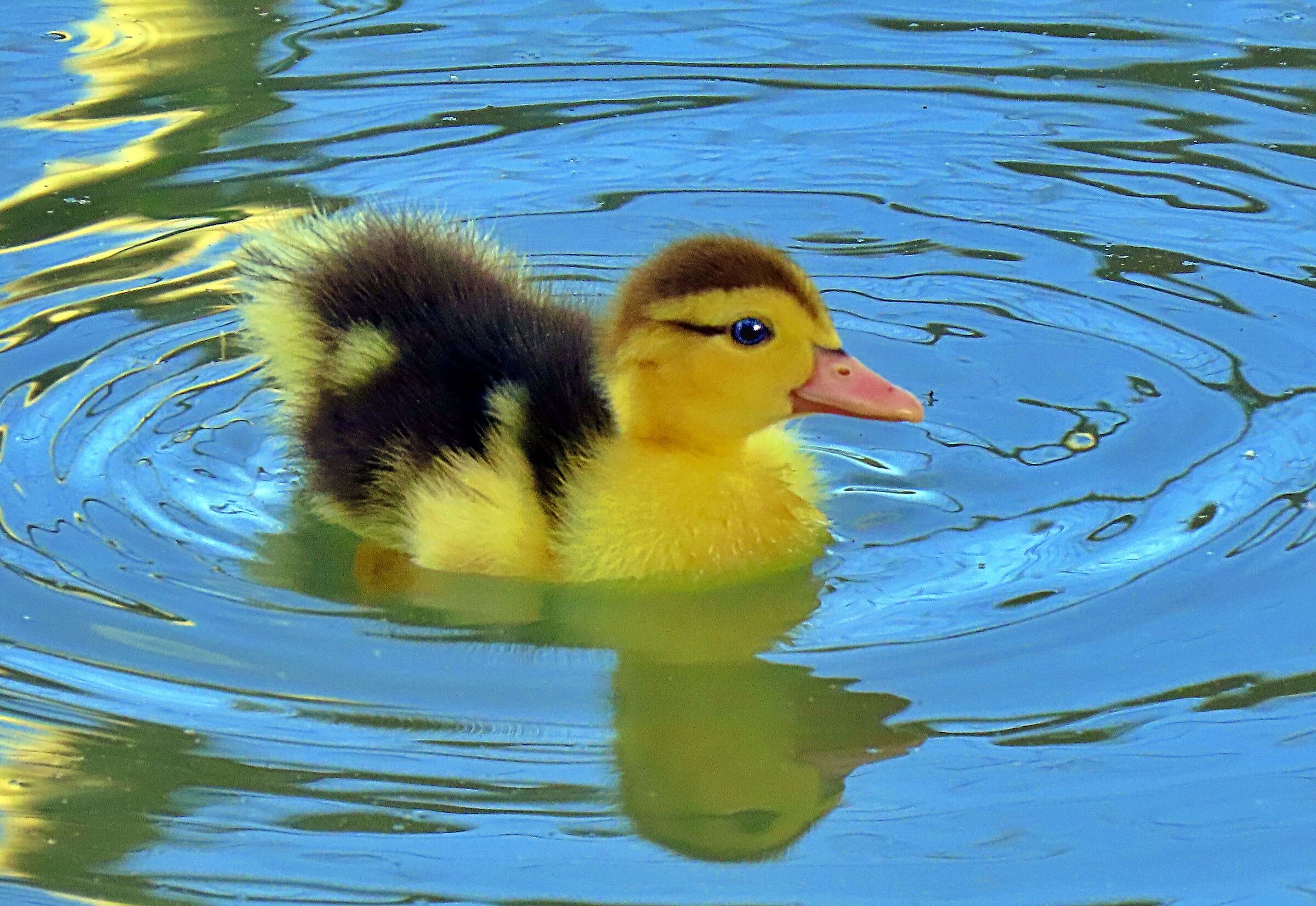 Reflecting is good for the soul