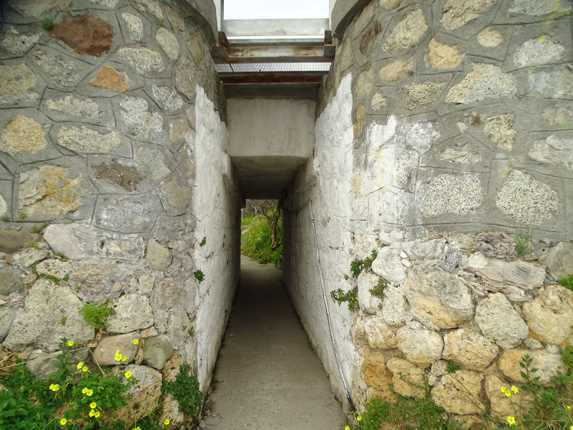 The underpass
